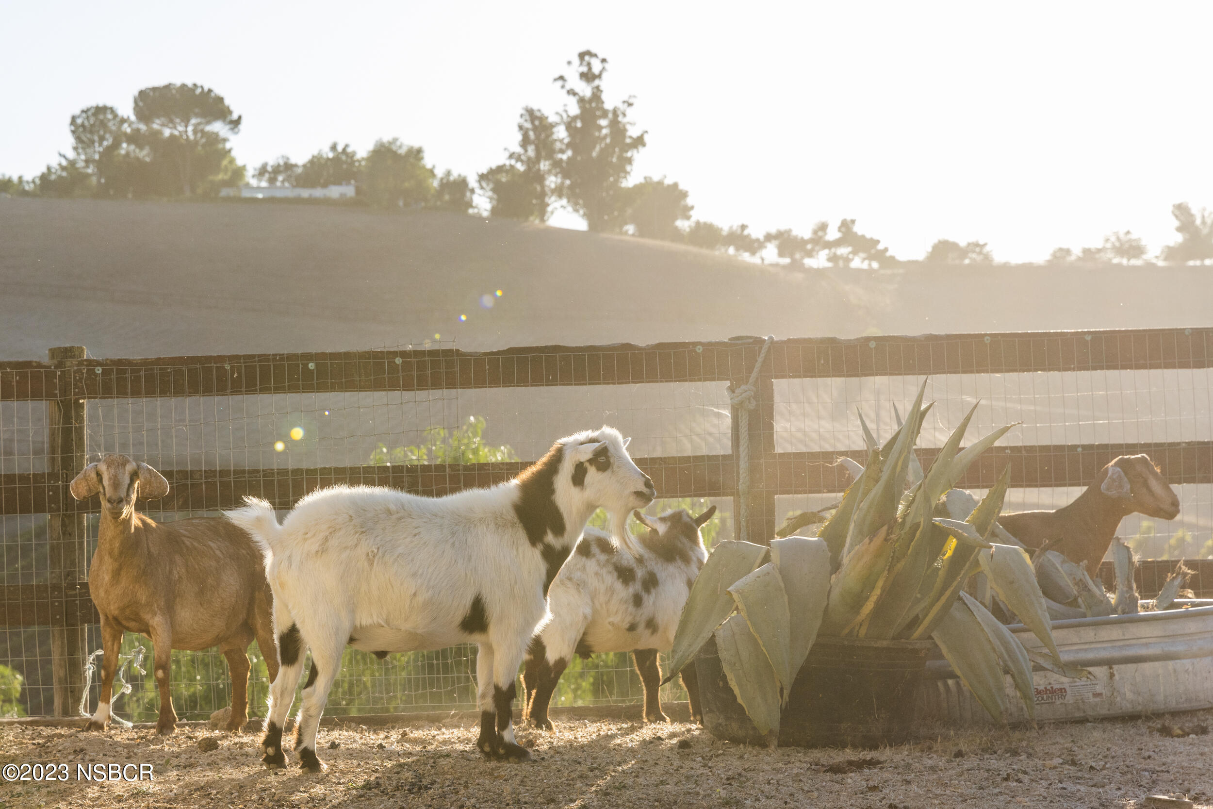 3047 Ballard Canyon Road