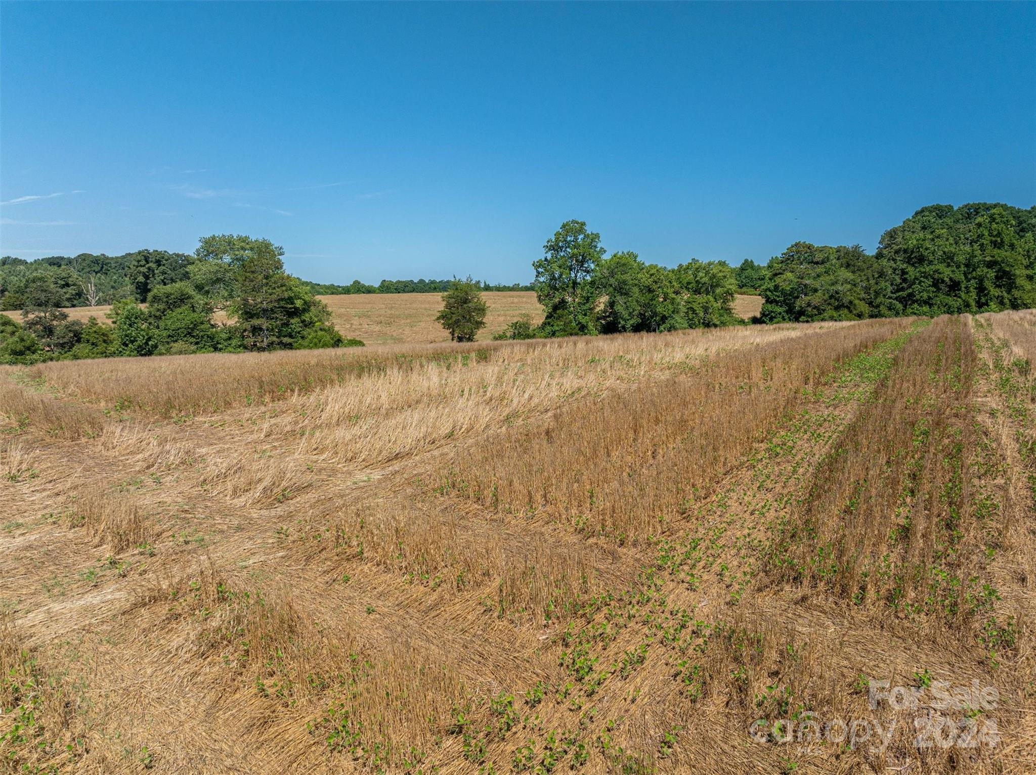 3721 Plateau Road