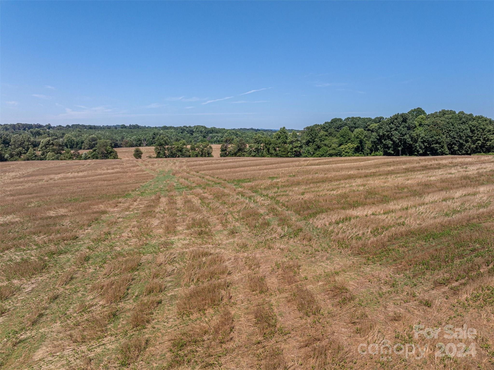 3721 Plateau Road