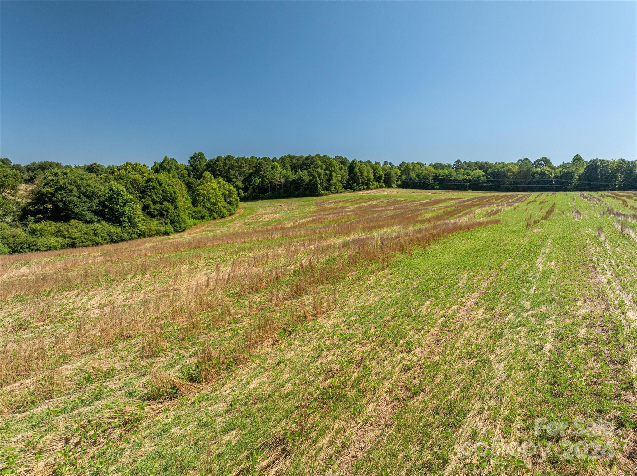 3721 Plateau Road