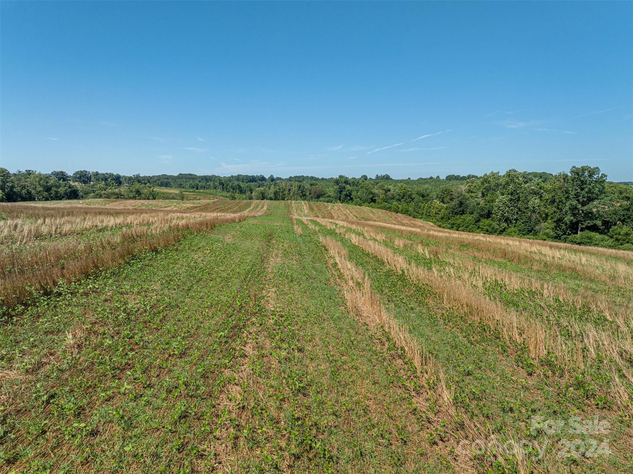 3721 Plateau Road