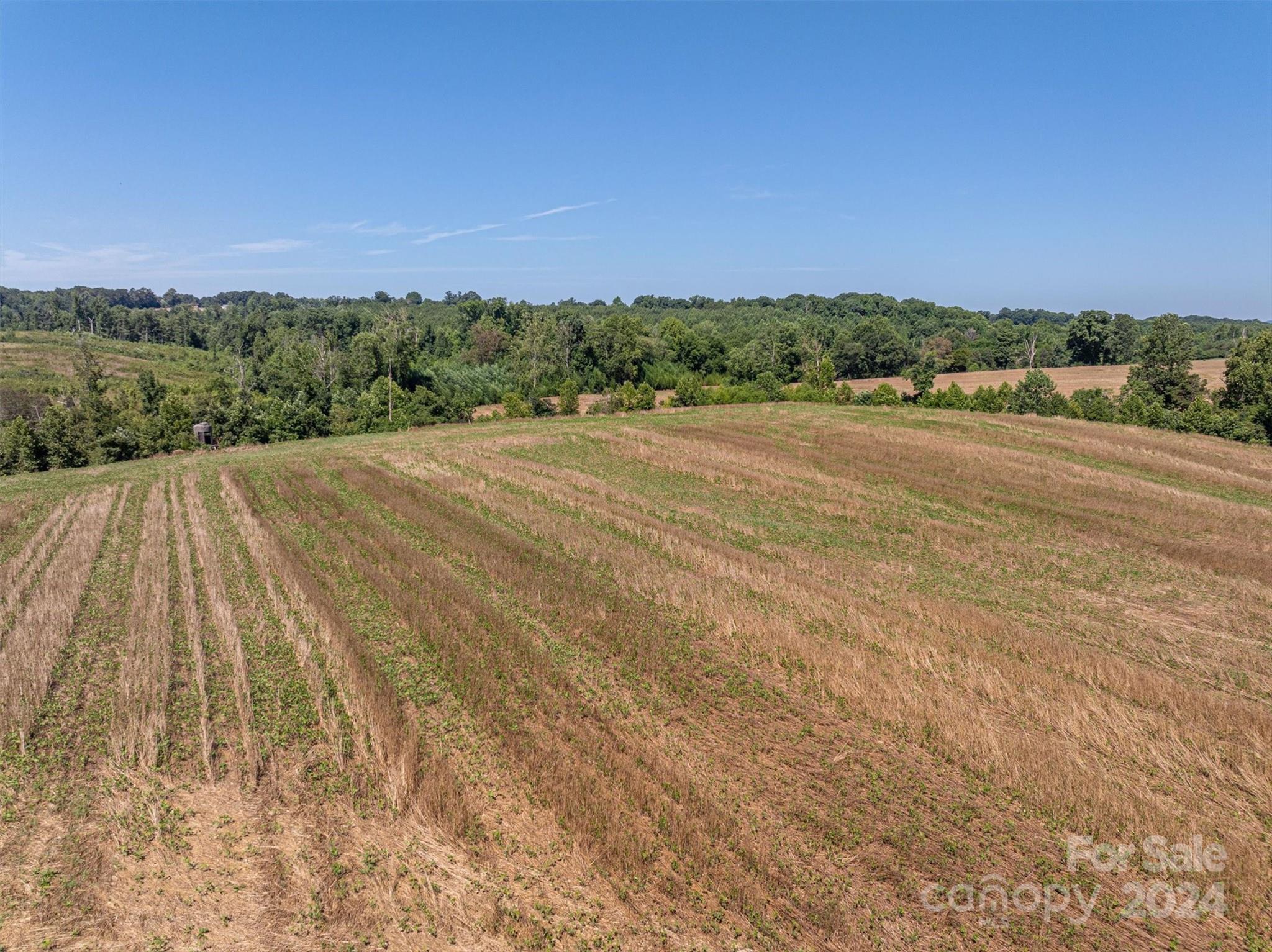 3721 Plateau Road