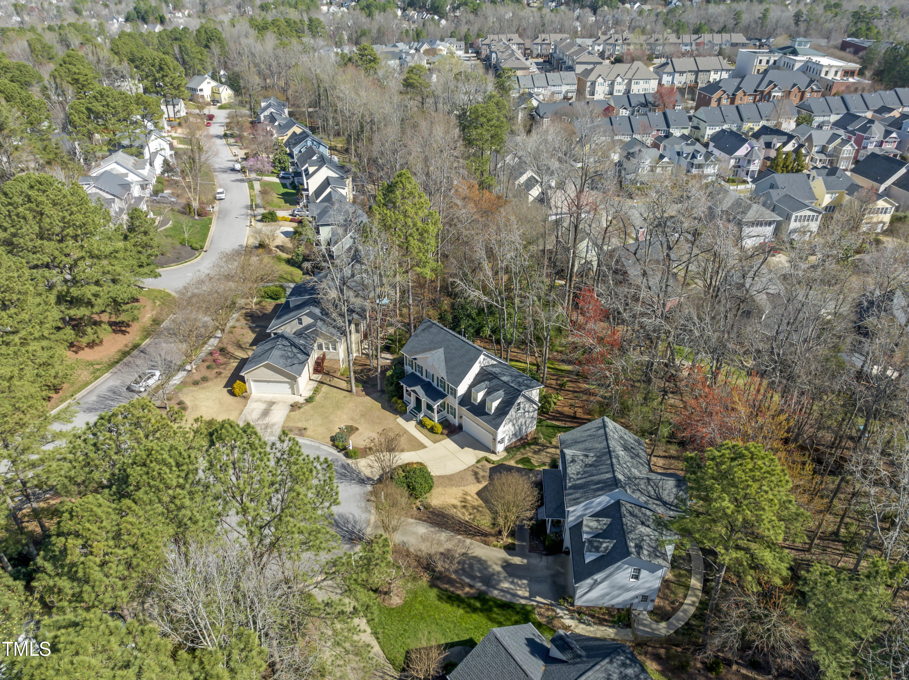102 Old Holly Tree Court