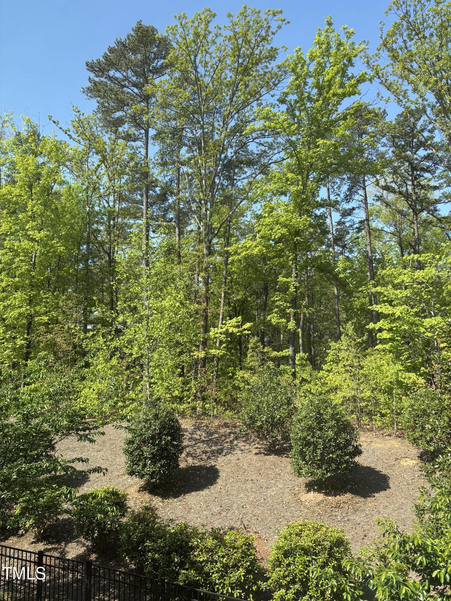 468 Talons Rest Way