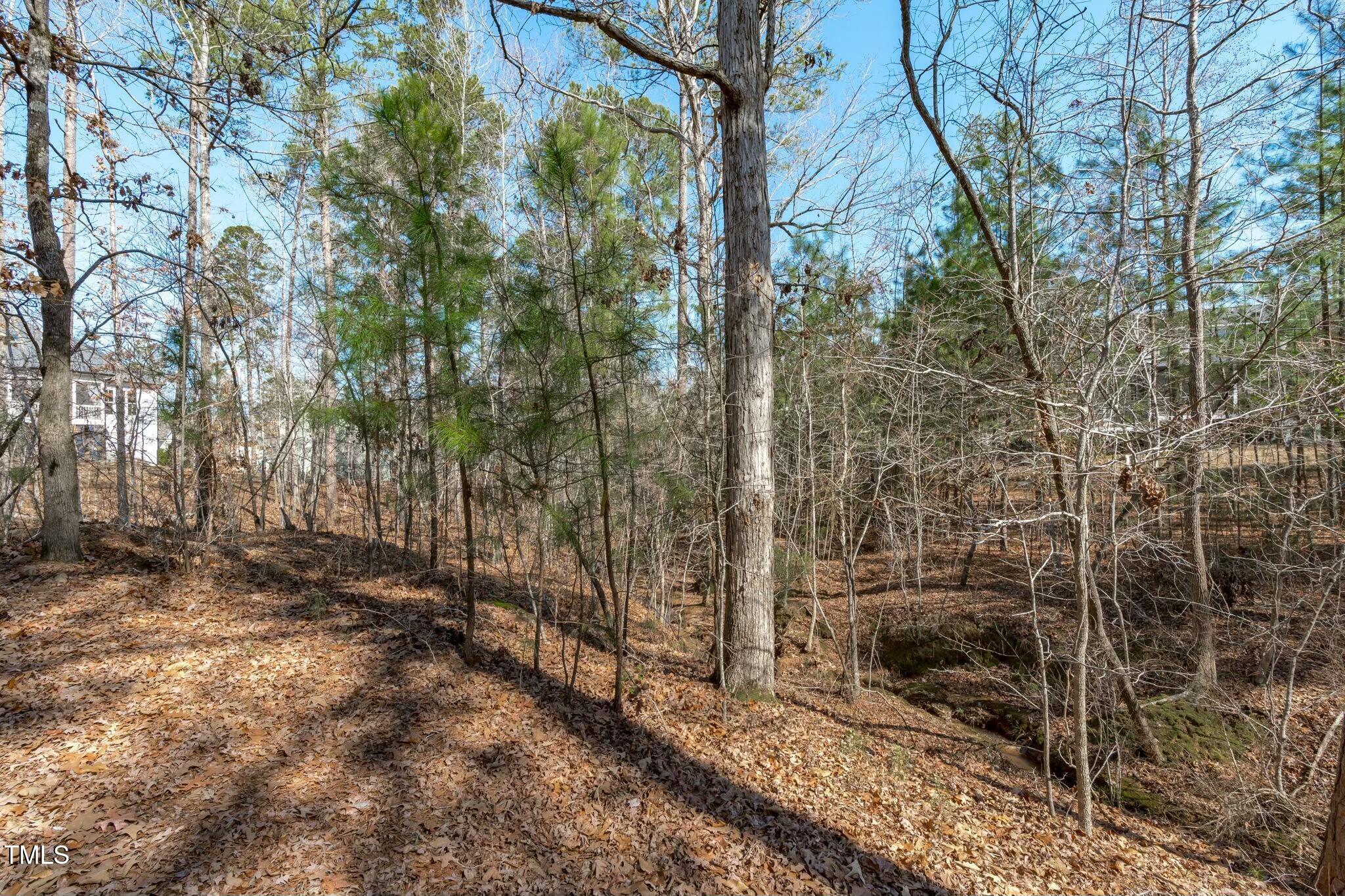 206 Streamside Drive