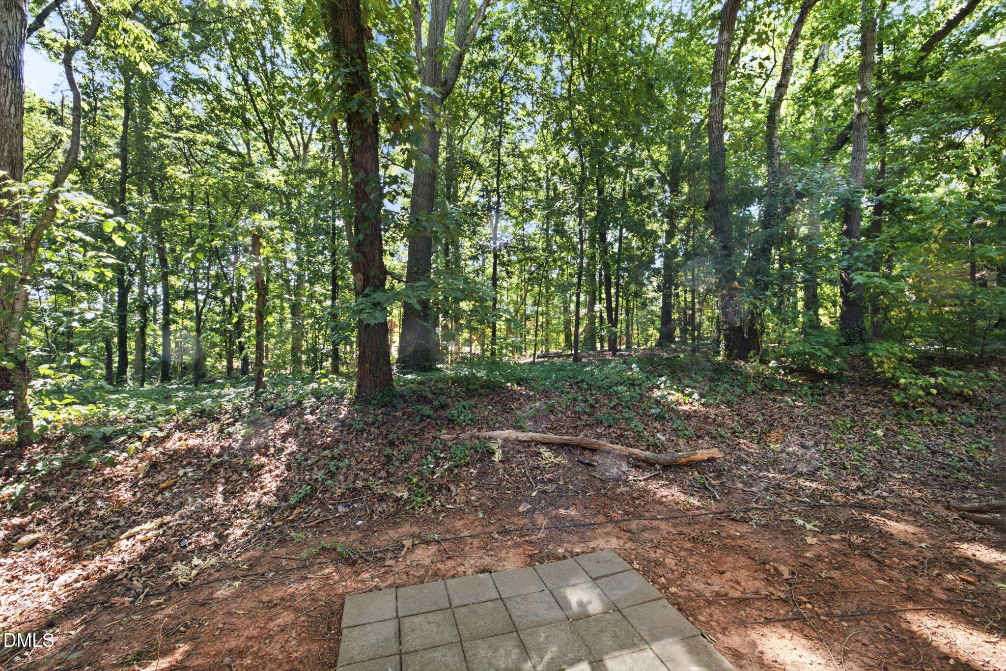1133 Schaub Drive