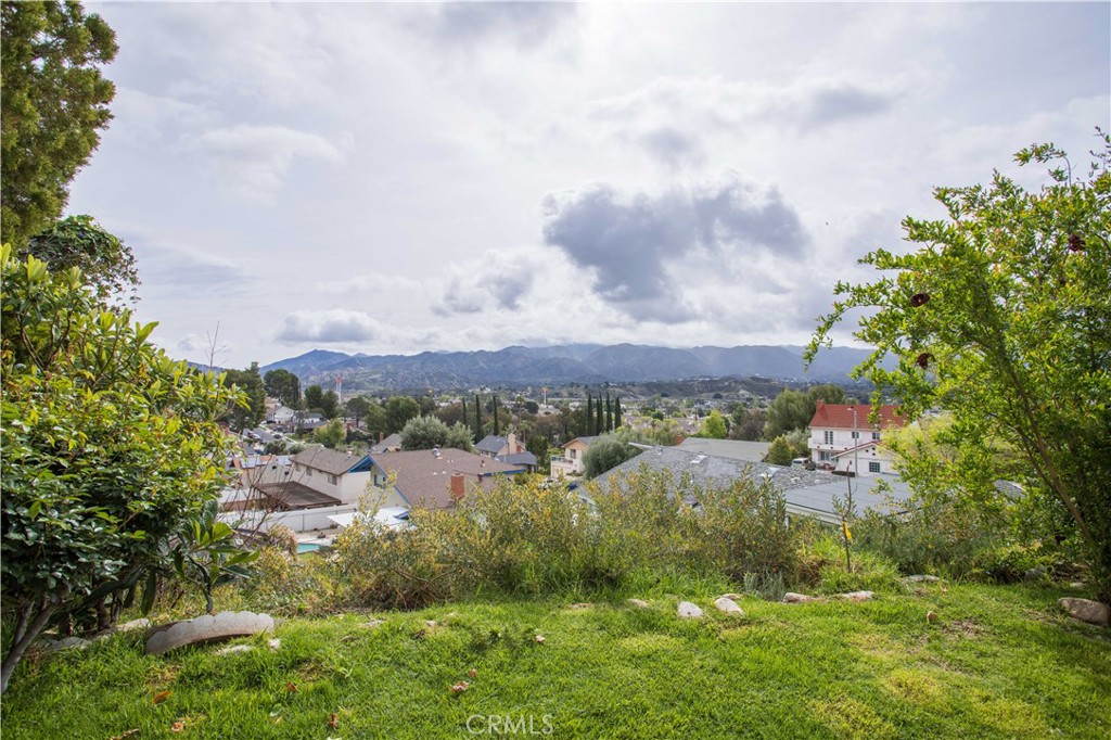 28414 Winterdale Drive