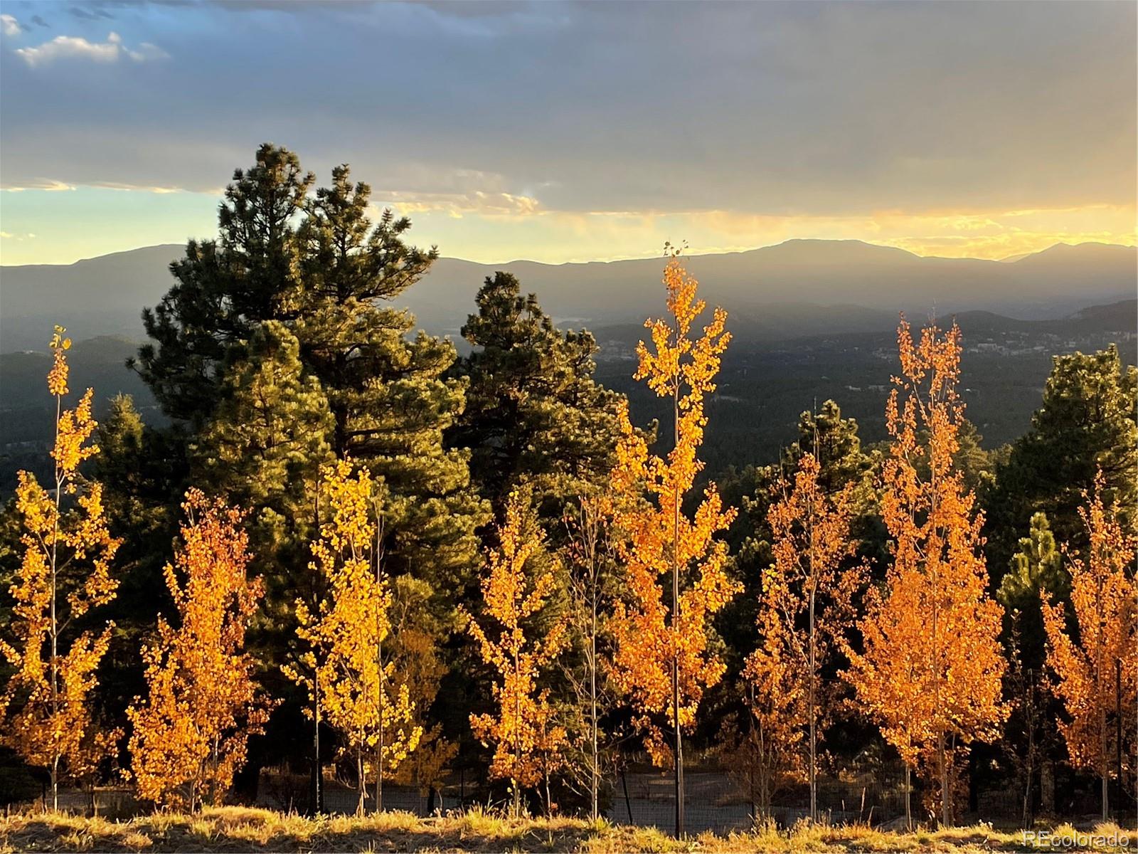 26116 Chief Hosa Road