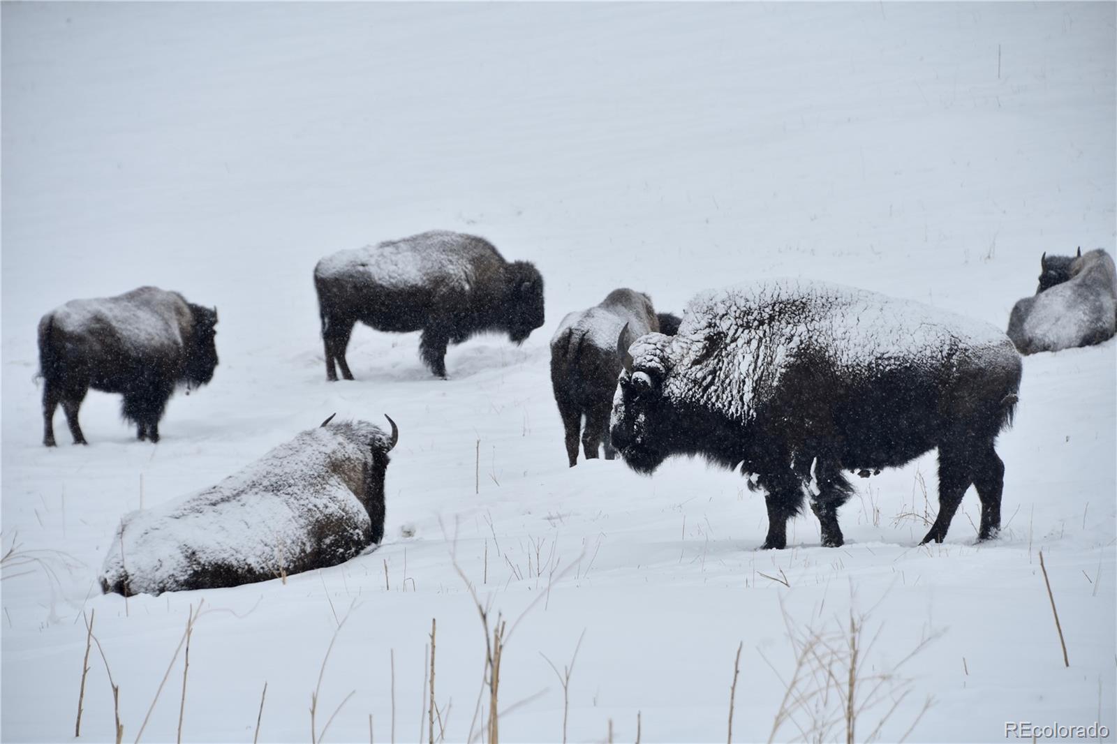 26116 Chief Hosa Road