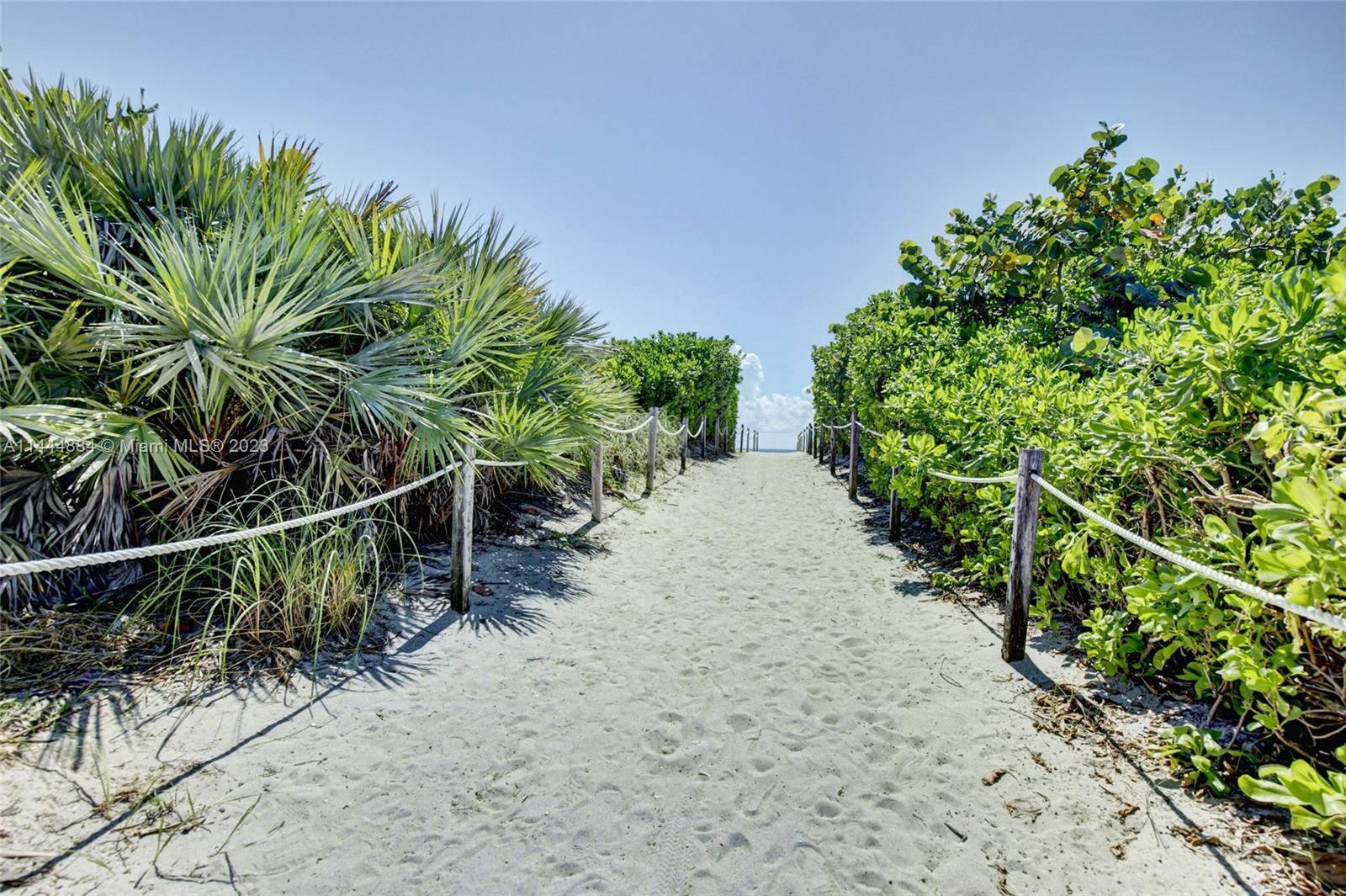 834 Ocean Dr # 212