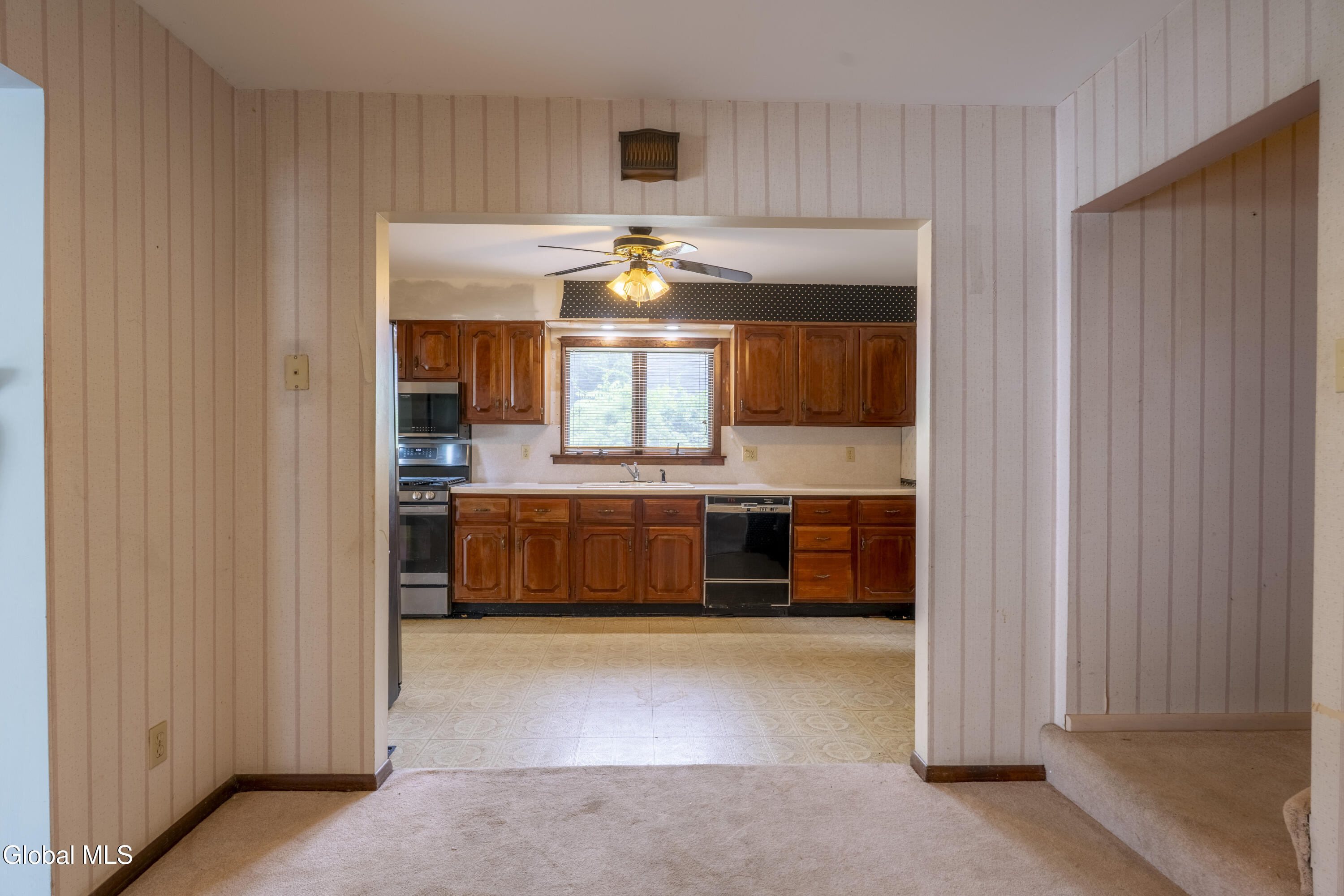 72 Pashley Road