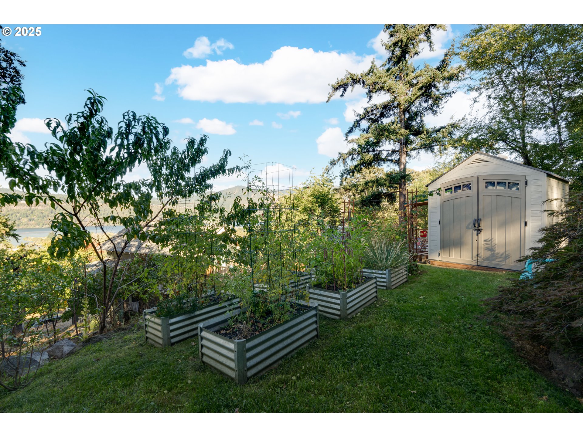 8 HAZEL AVE