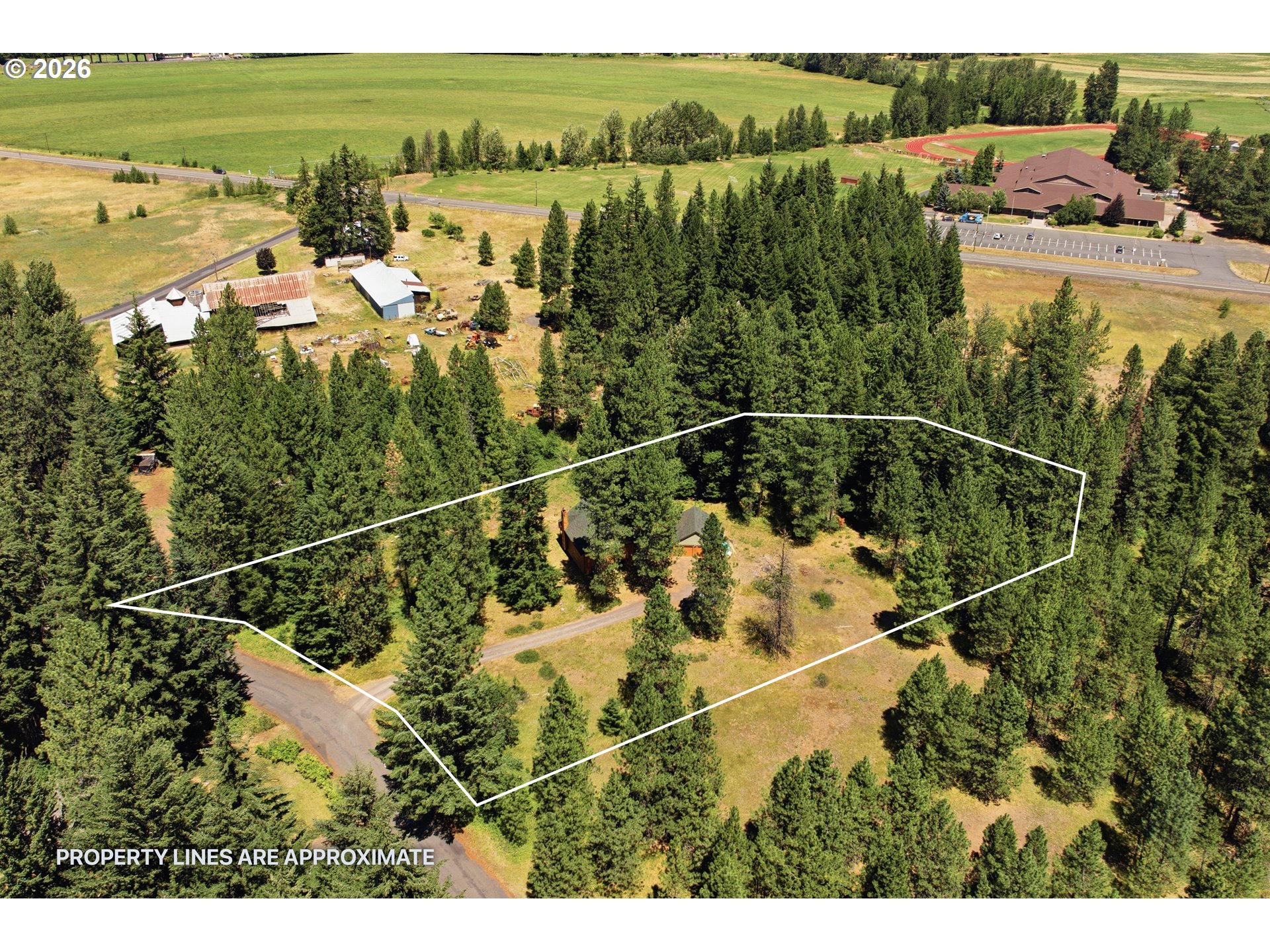 81 Lava RD
