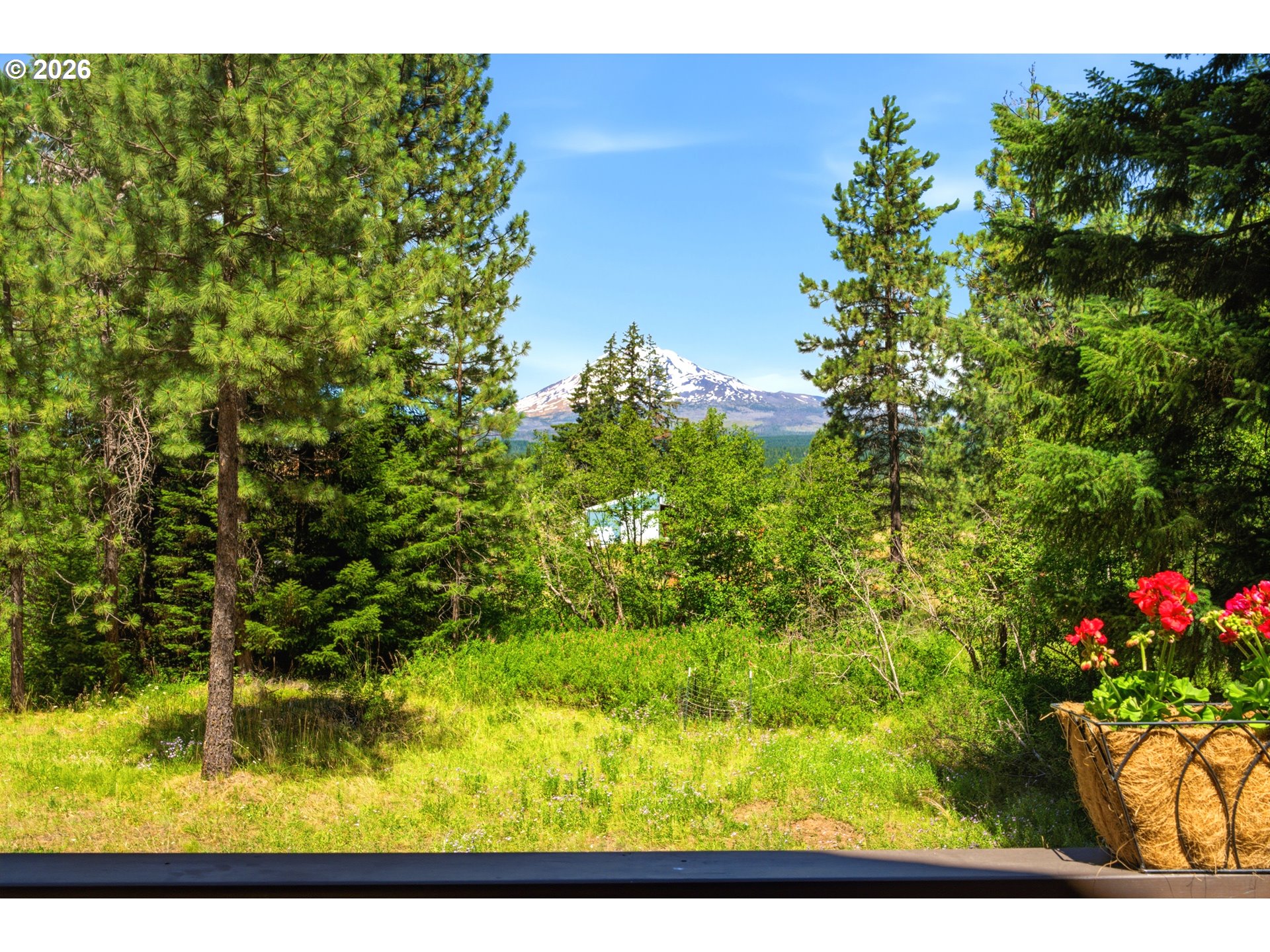 81 Lava RD