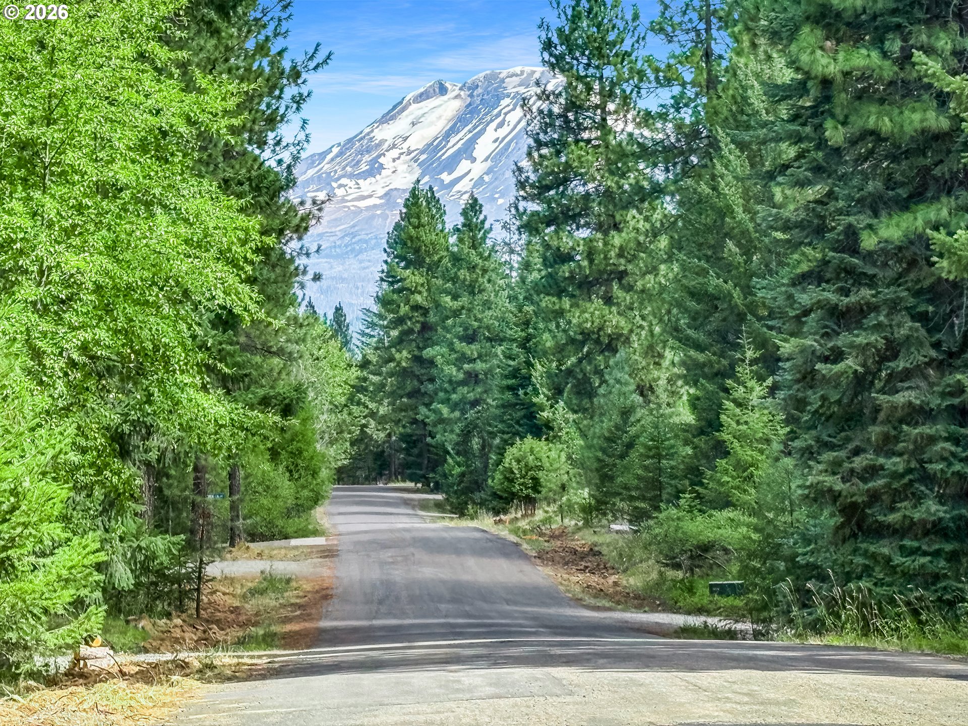 81 Lava RD
