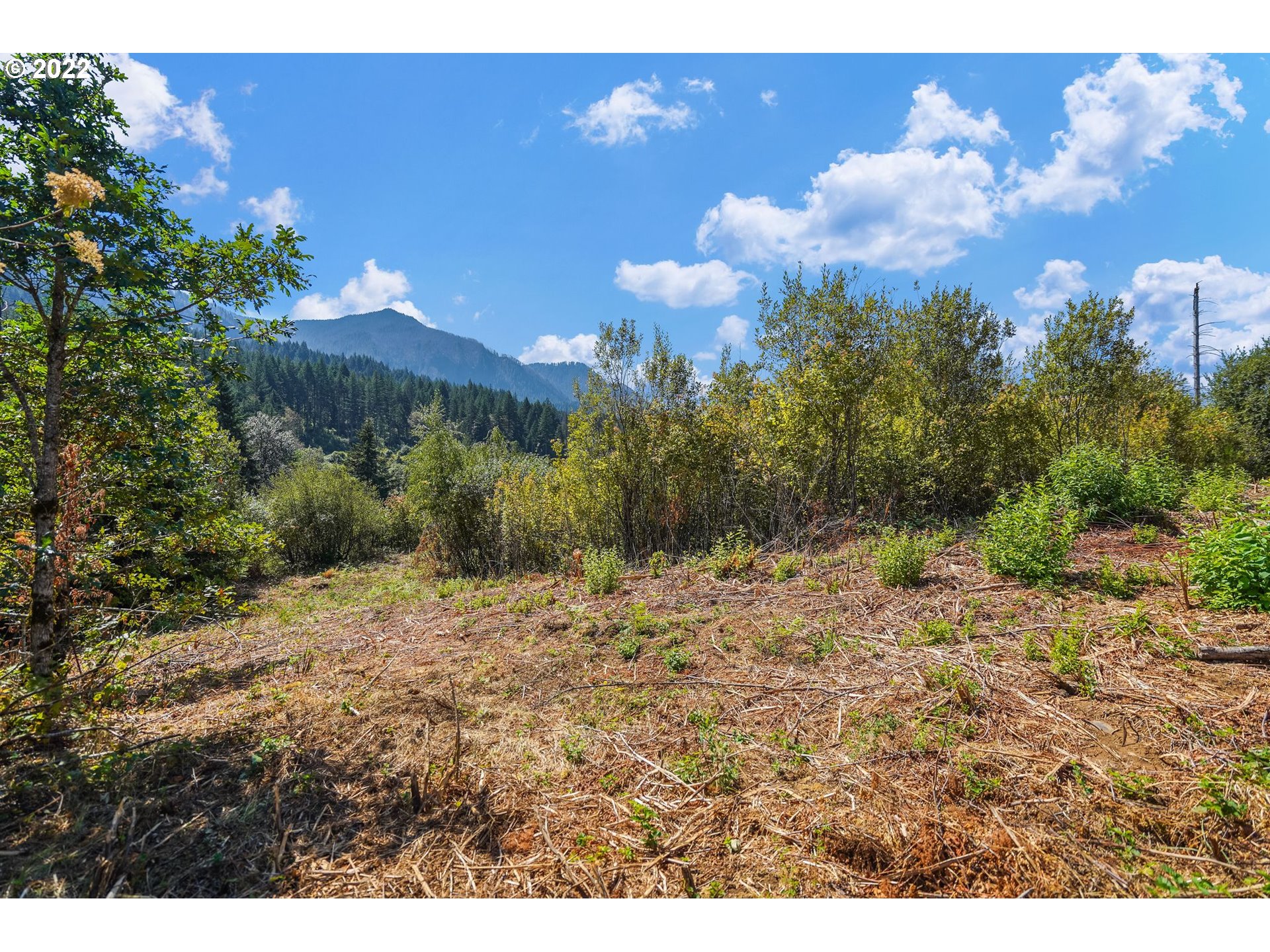 0 SE Mountain View DR