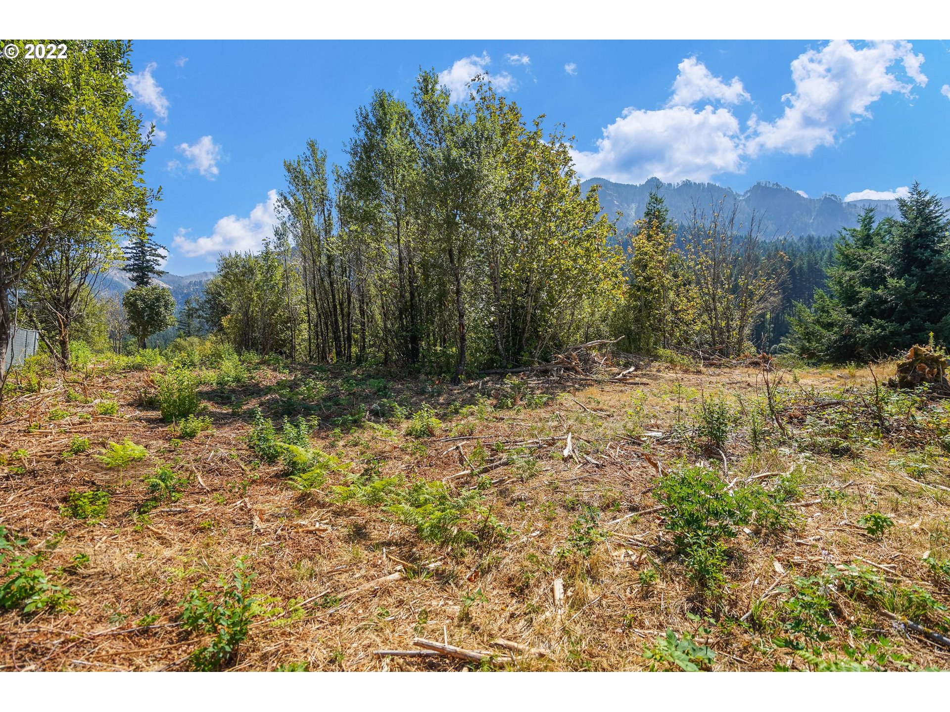 0 SE Mountain View DR