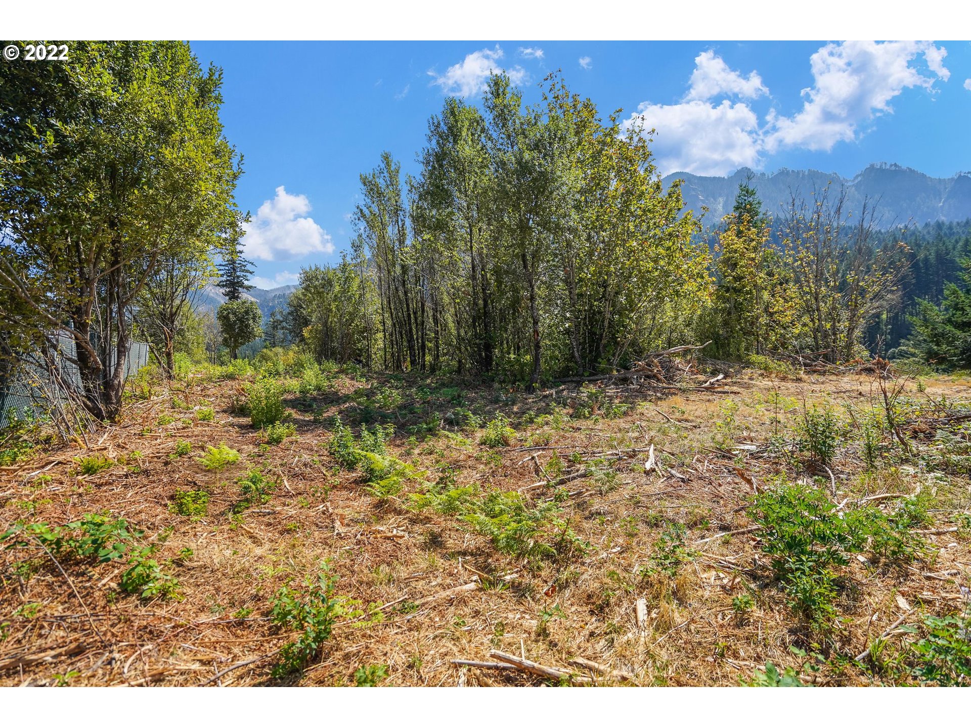 0 SE Mountain View DR