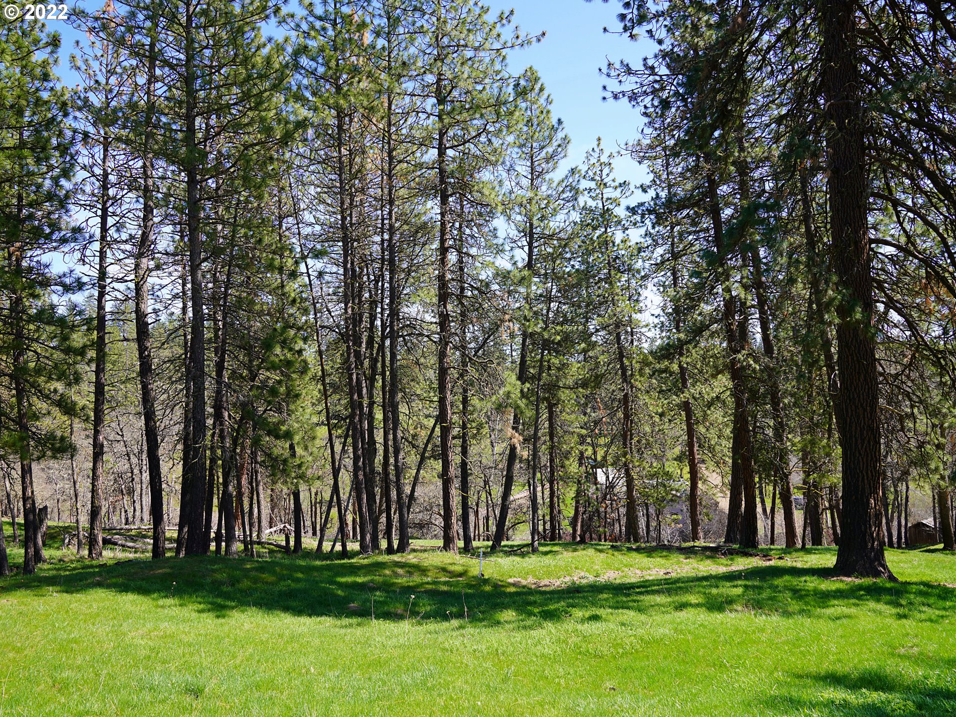932 ZIELINSKI RD