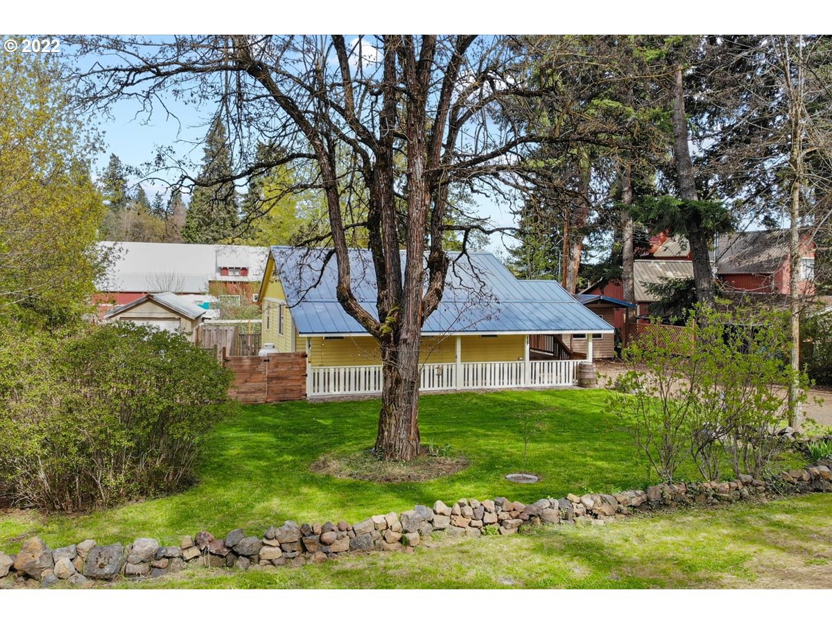 Yellow house with a metal roof behind a large tree, with a green lawn and stone border.