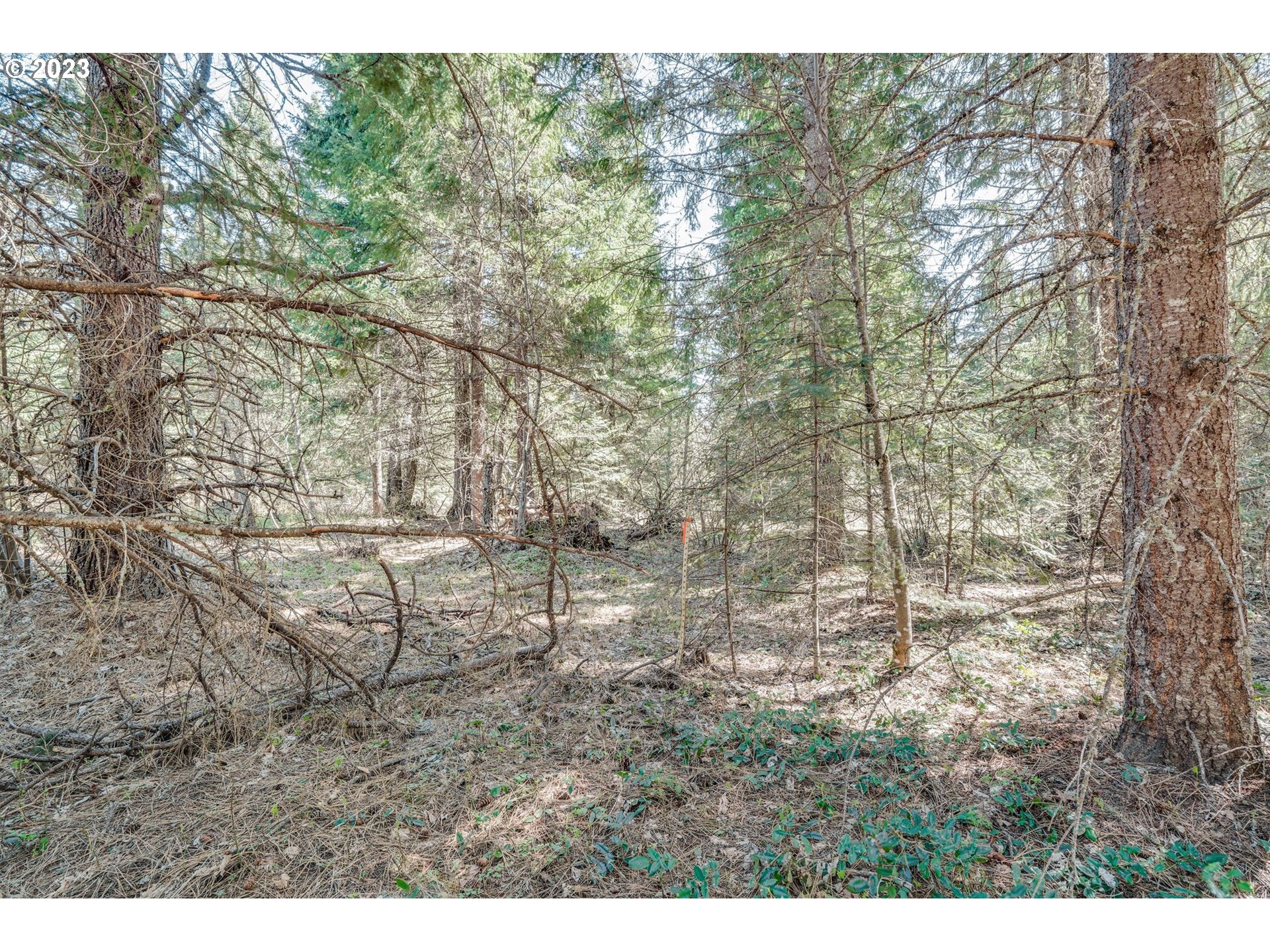 45 Ridgeview RD