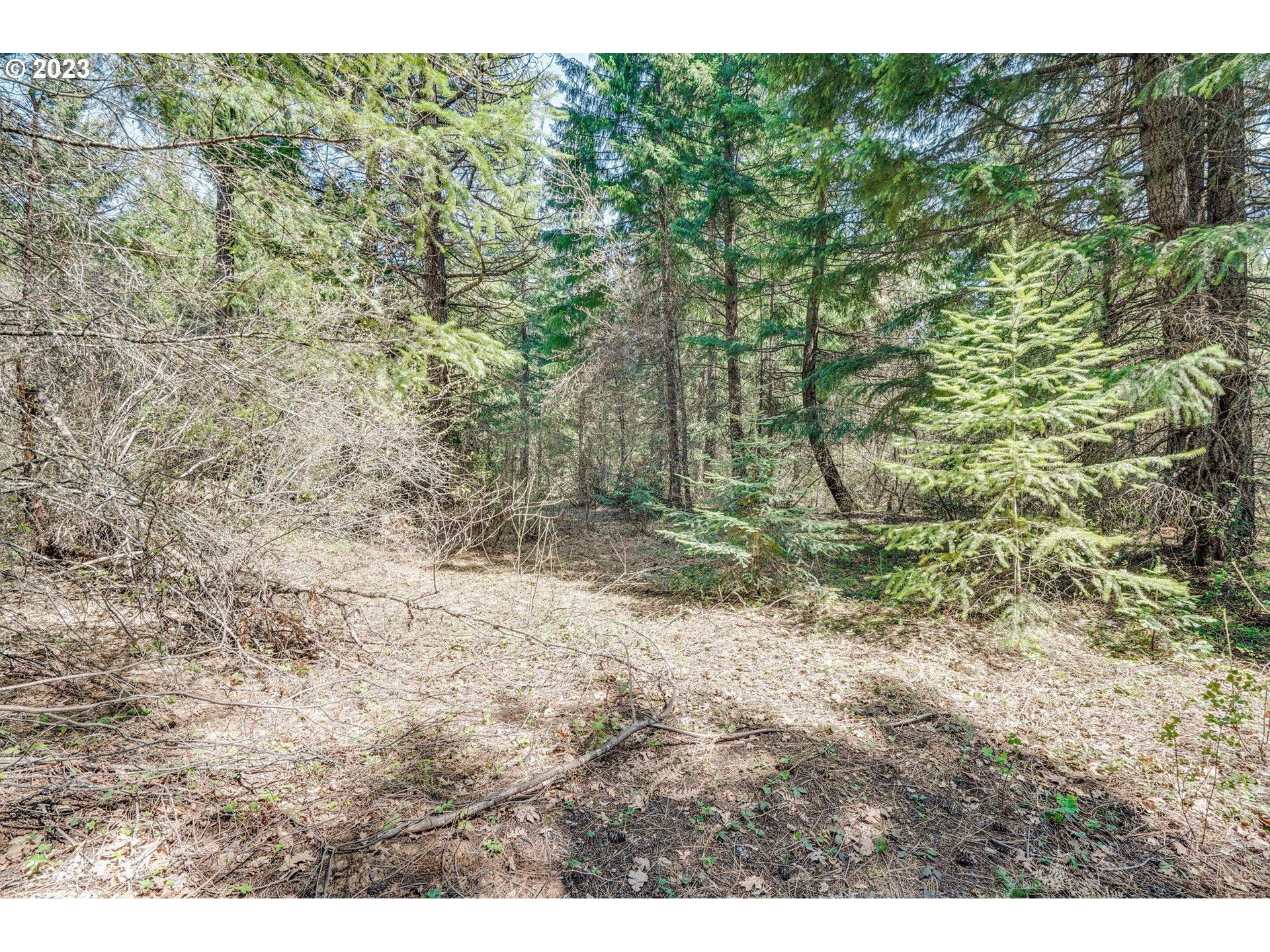 45 Ridgeview RD