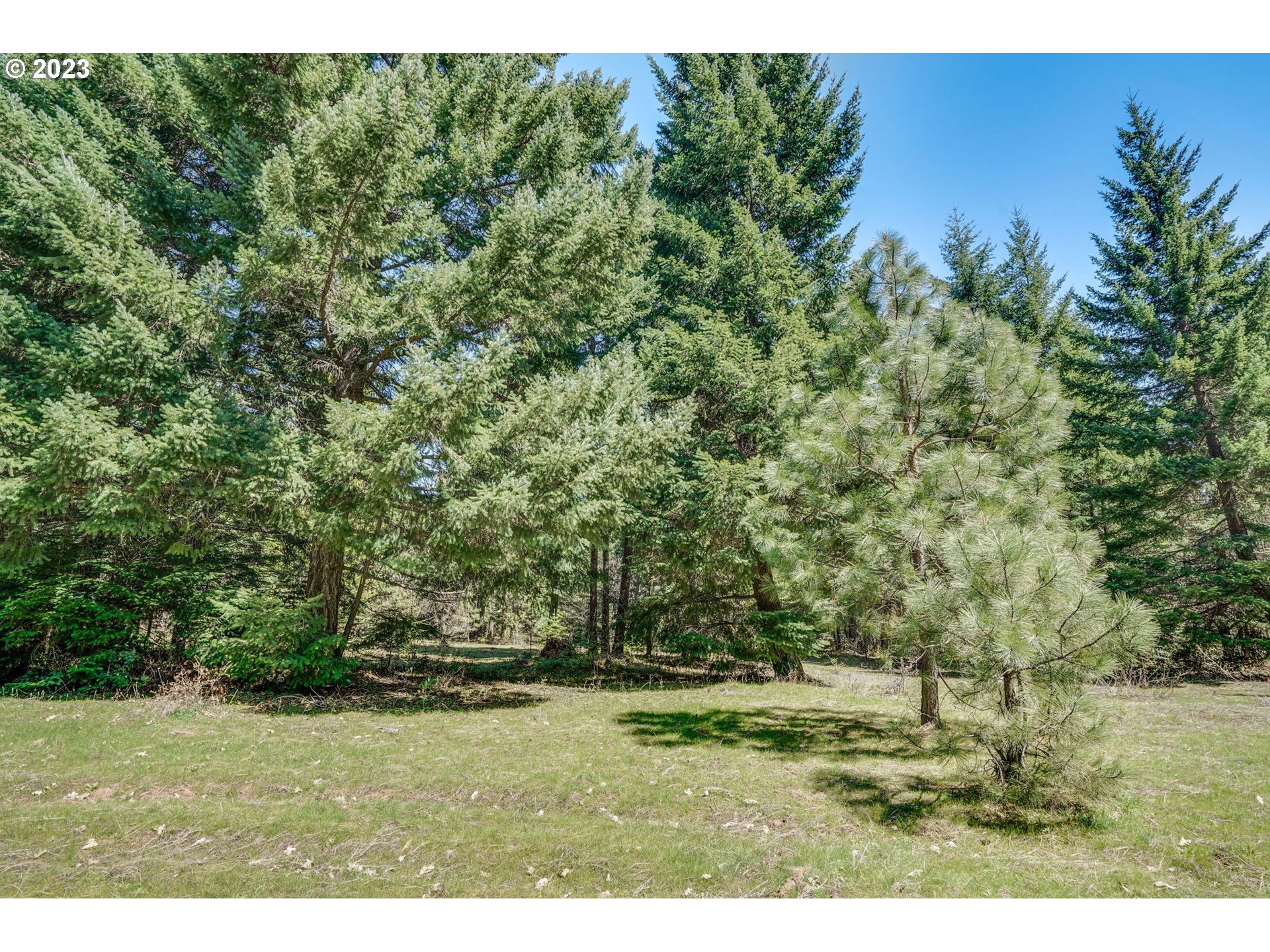 45 Ridgeview RD