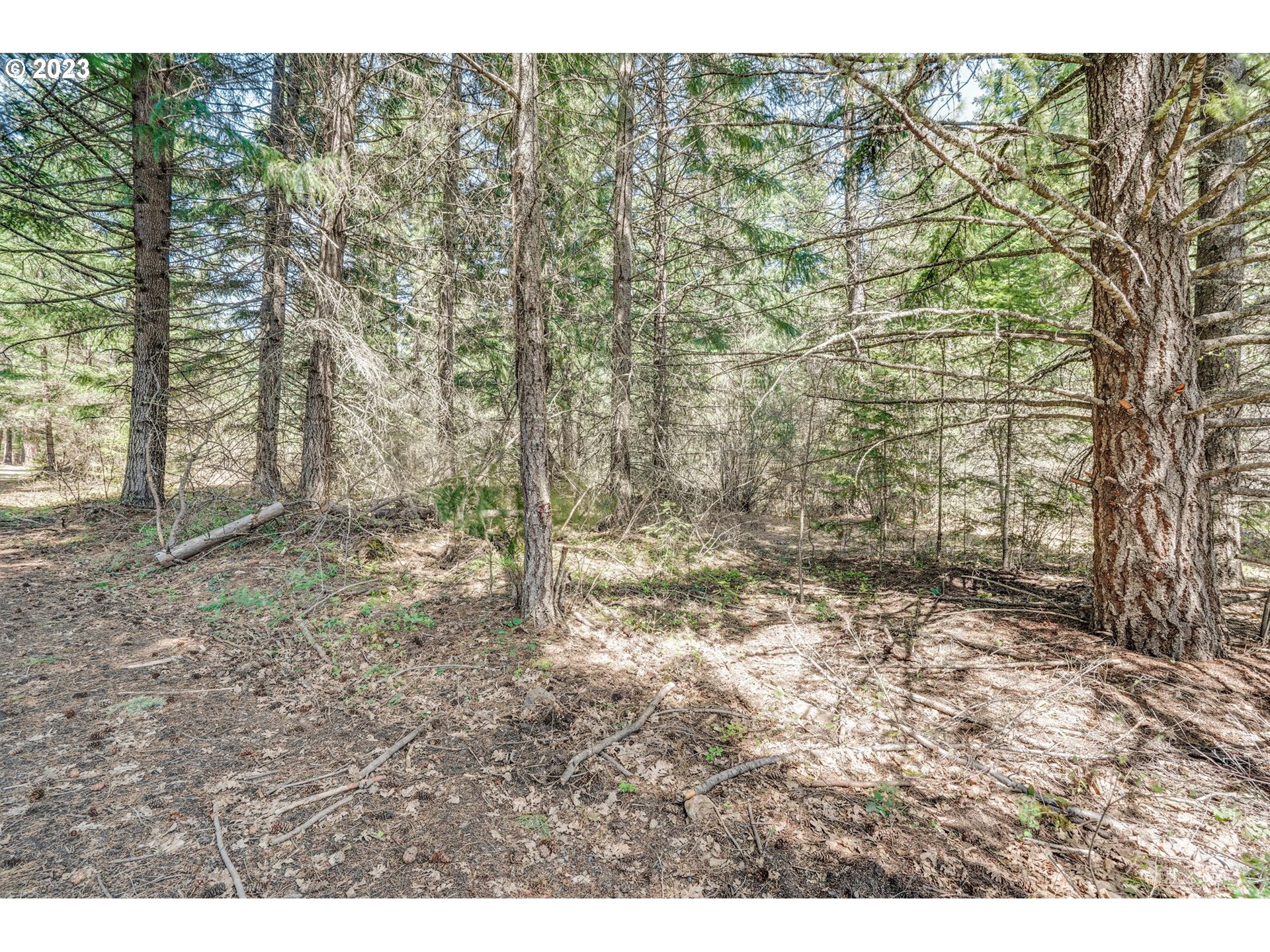 45 Ridgeview RD