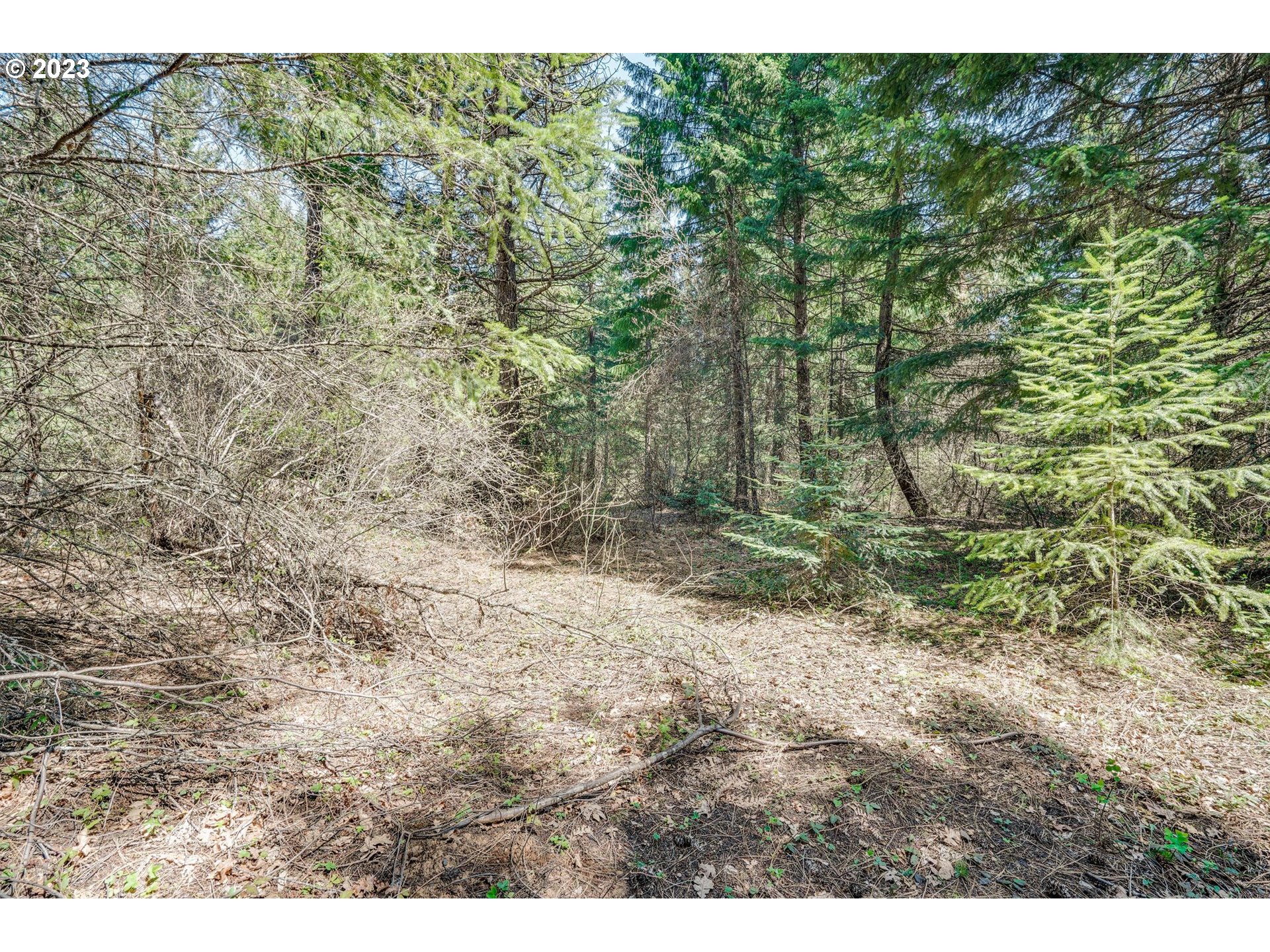 45 Ridgeview RD
