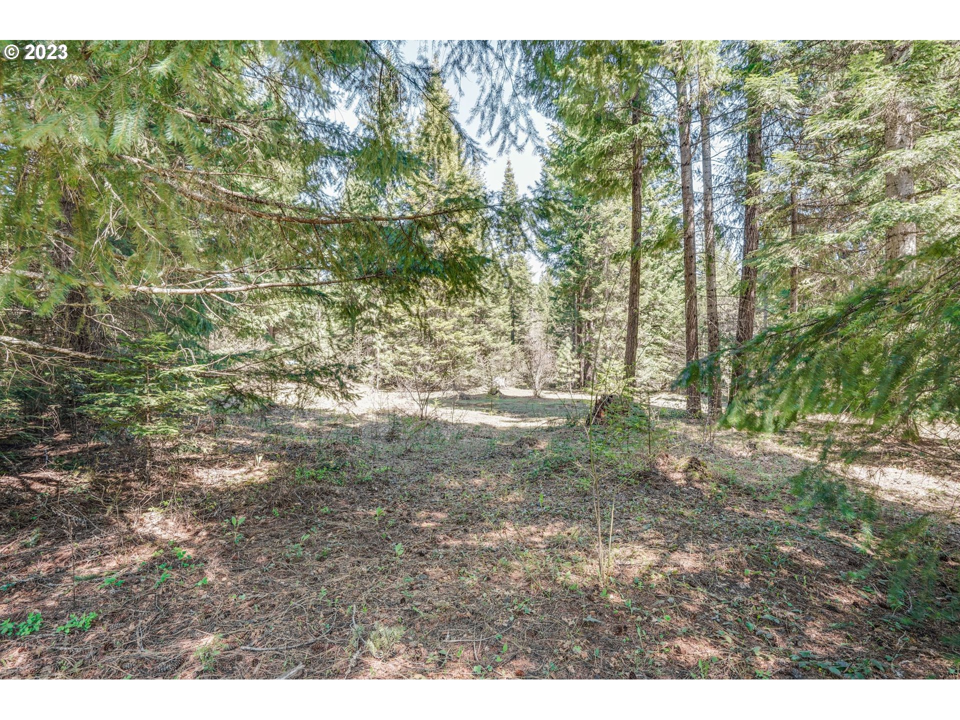 45 Ridgeview RD