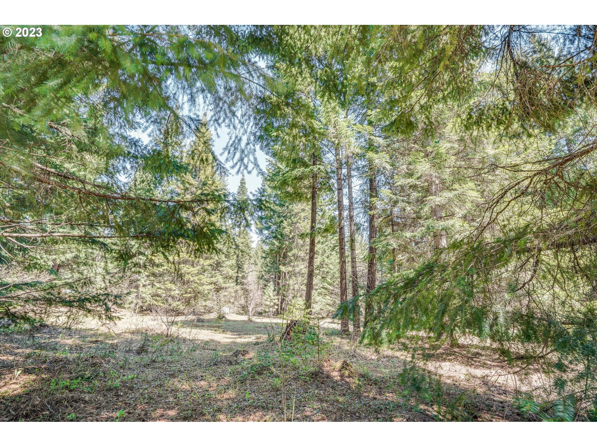 45 Ridgeview RD