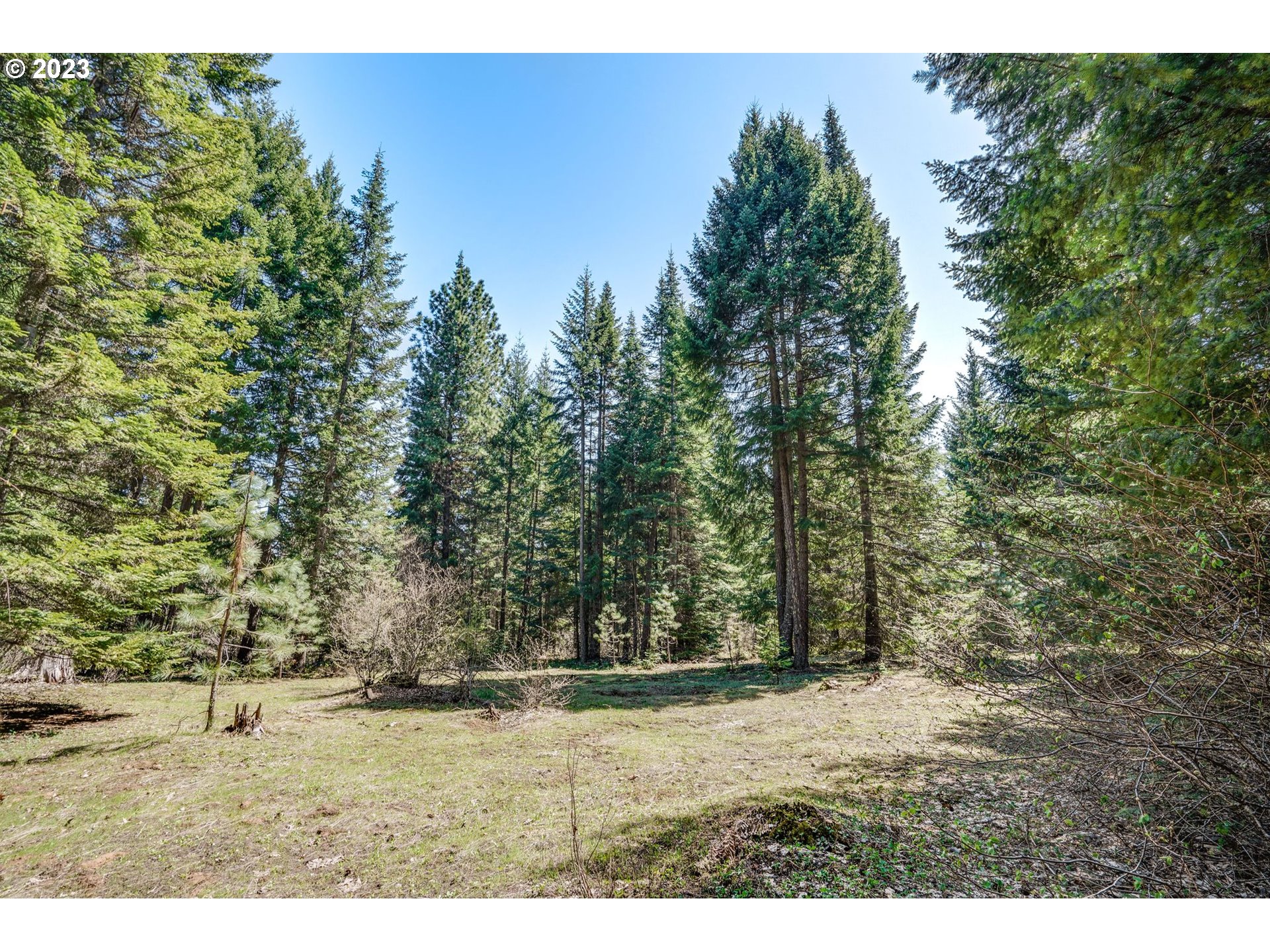 45 Ridgeview RD