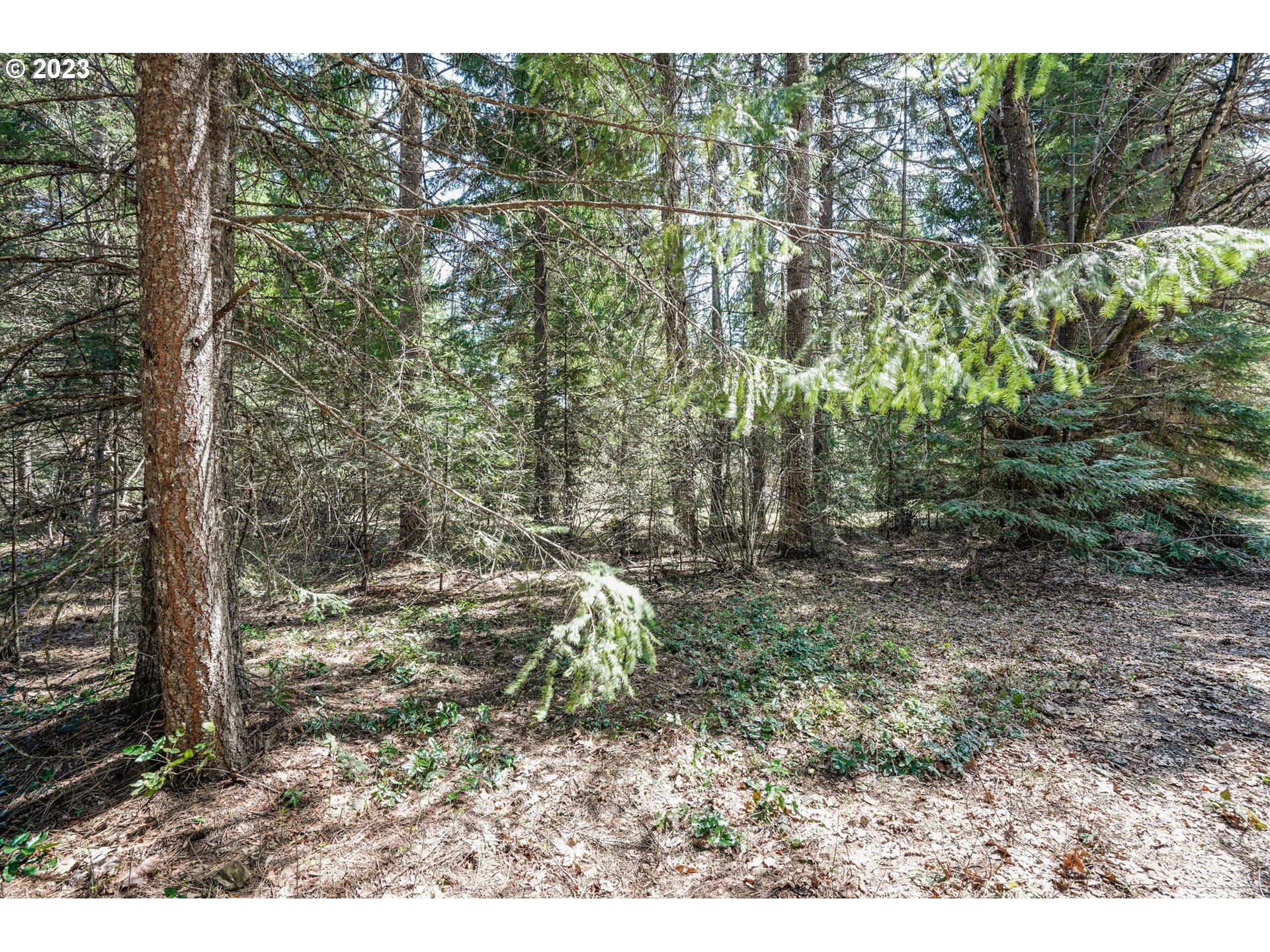 45 Ridgeview RD