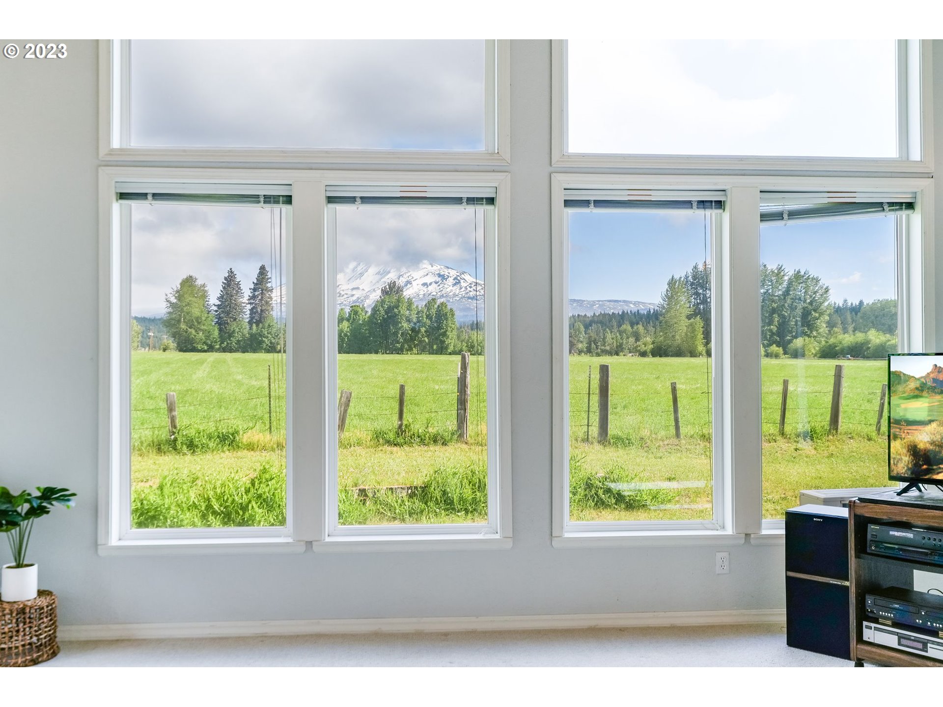 Living room windows frame a snow-covered mountain beyond a green meadow.