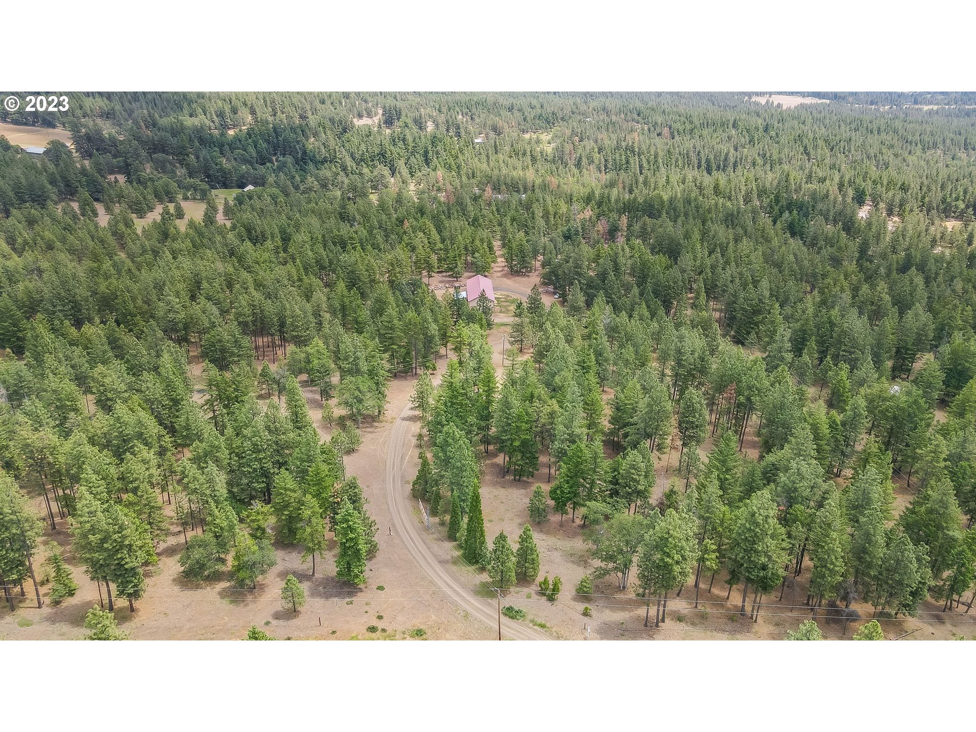 12 FOREST HILL LN
