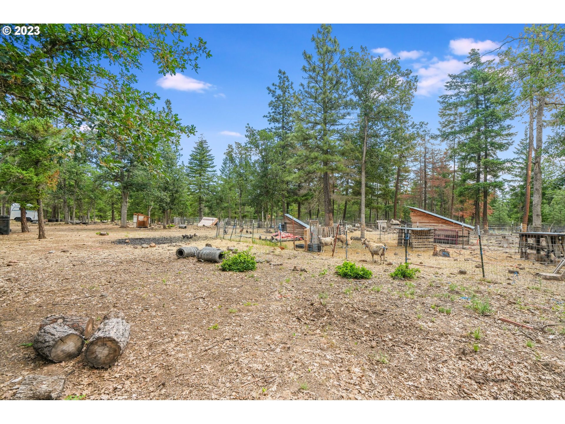 12 FOREST HILL LN