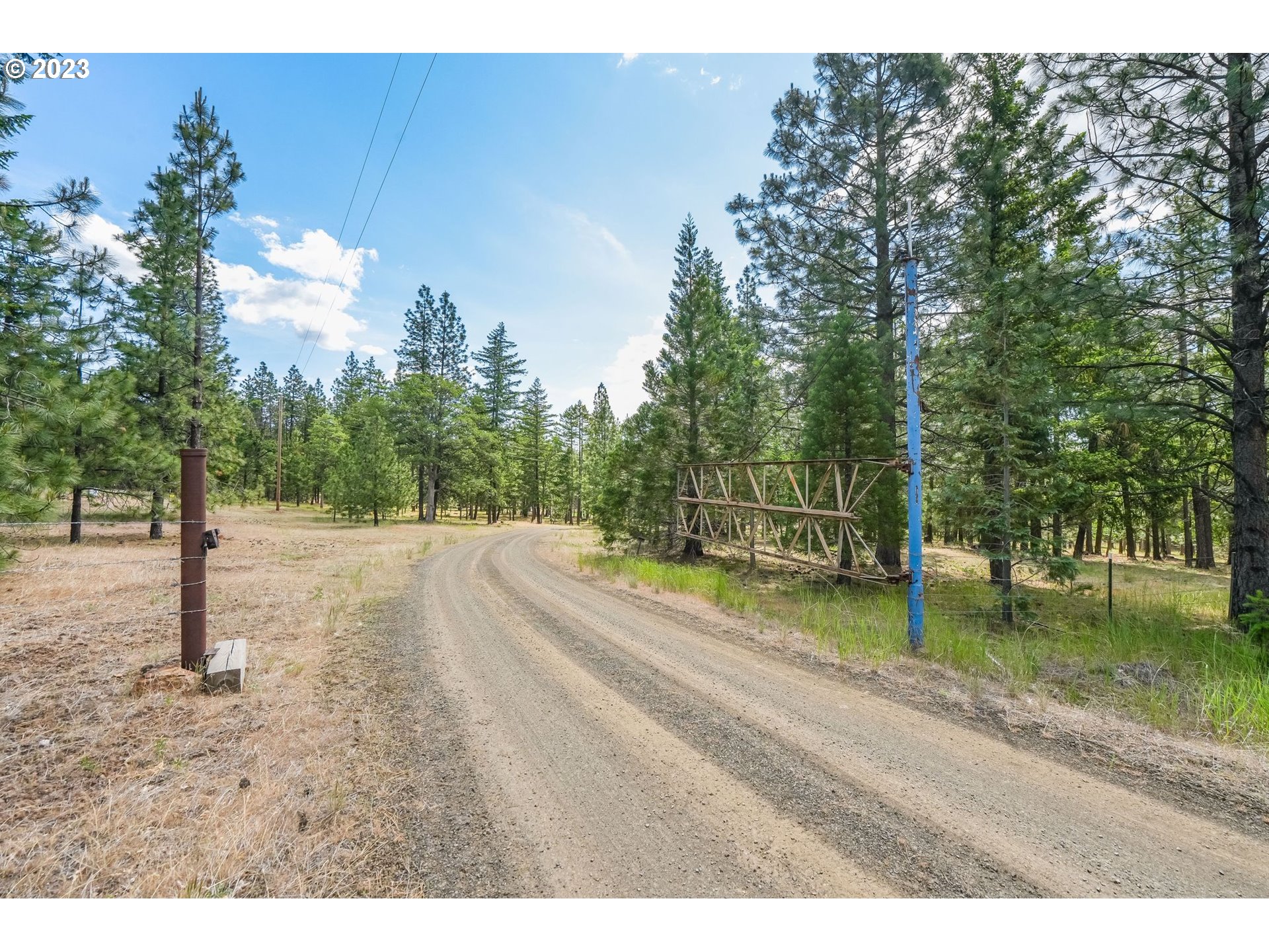 12 FOREST HILL LN