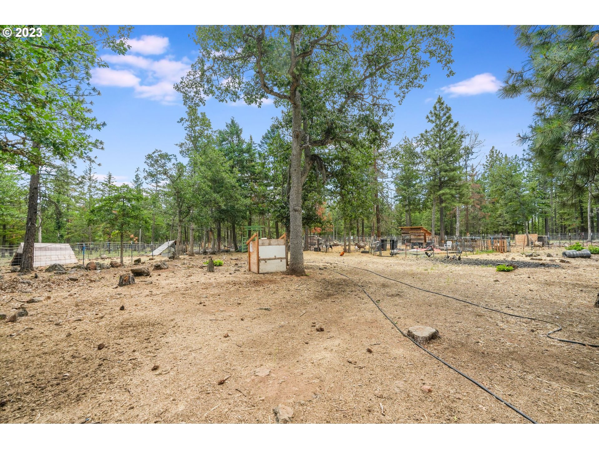 12 FOREST HILL LN