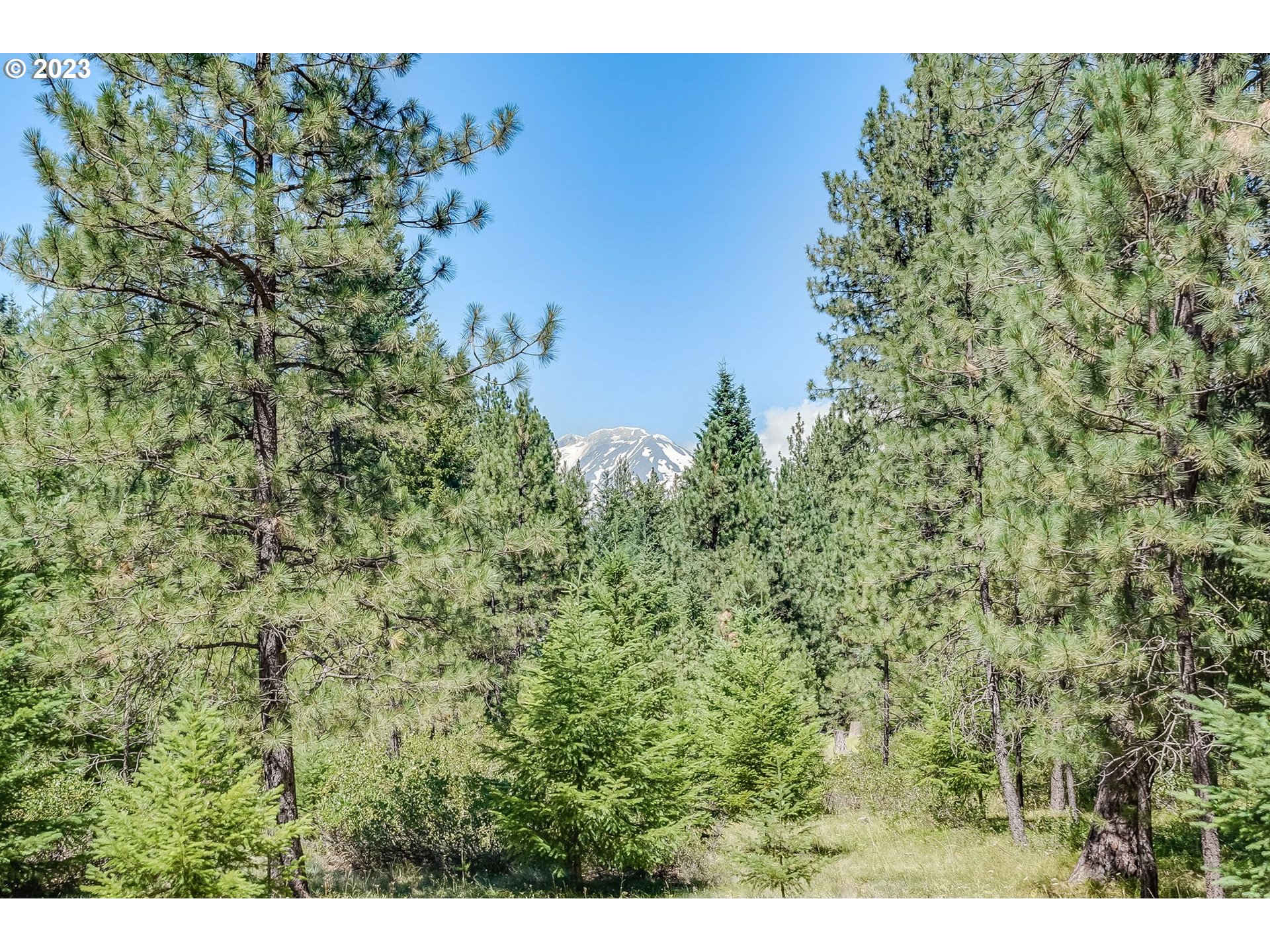 45 LONESOME PINES DR