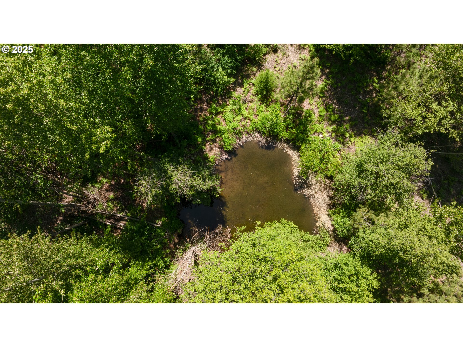 26 Mountain View LN