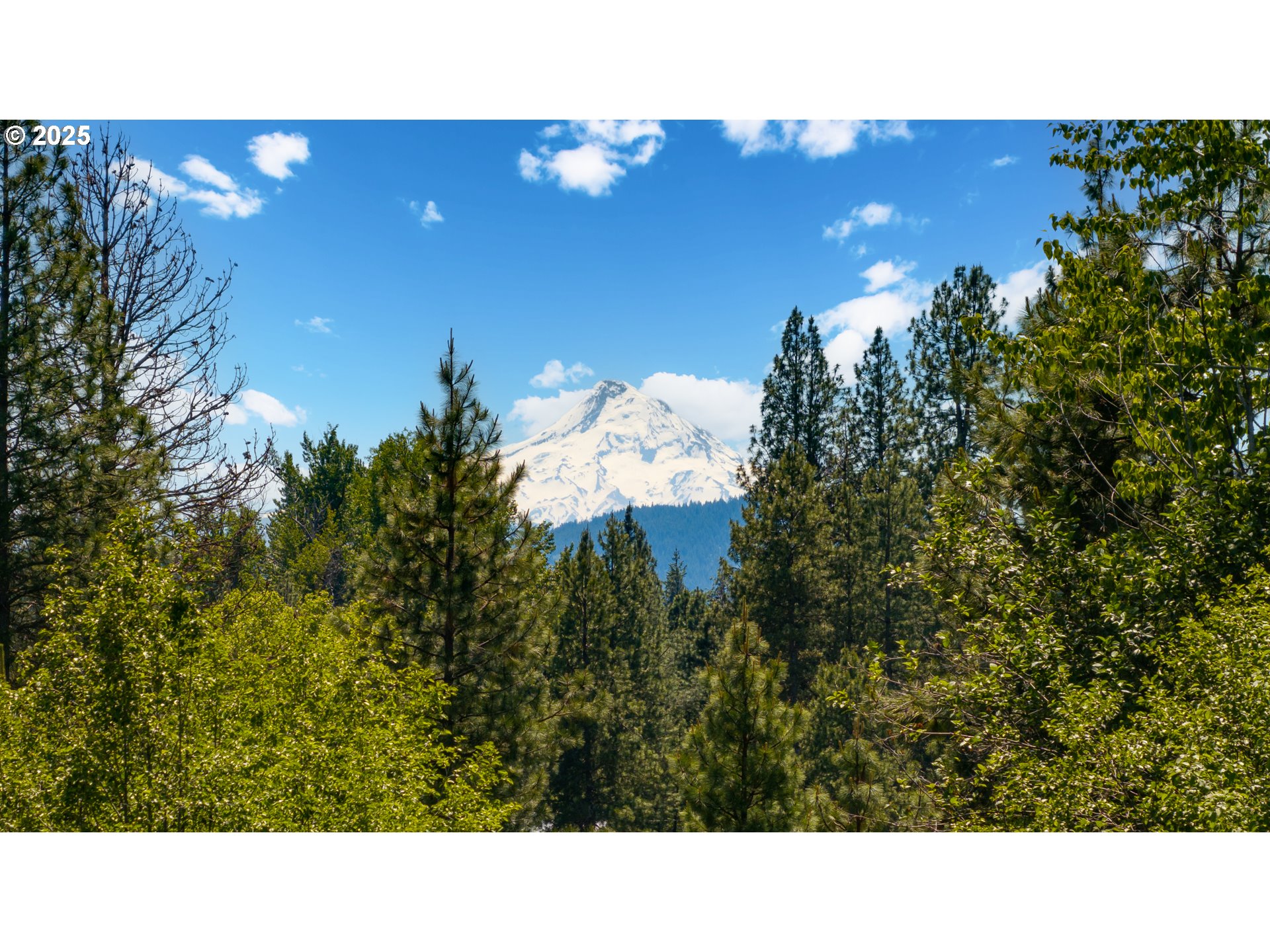 26 Mountain View LN