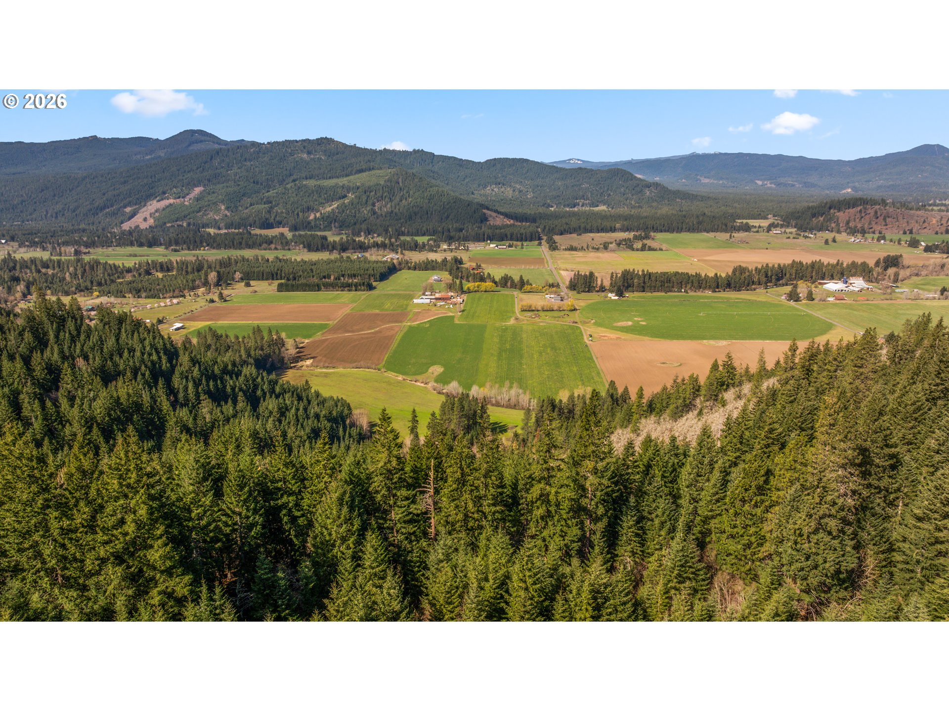 Aerial view of forested mountain ridges and patchwork farmland beyond dense evergreen trees.