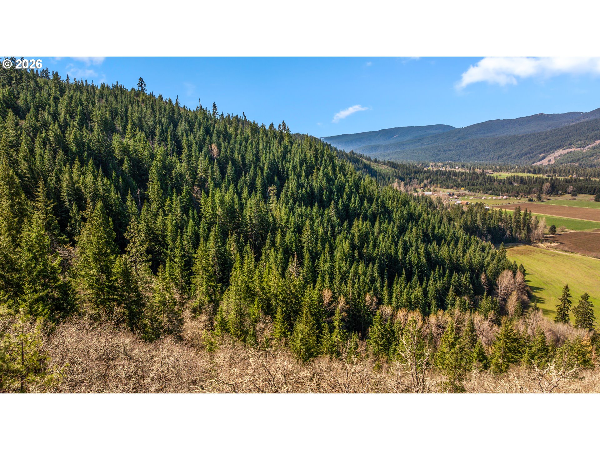 Forested hillside overlooking a rural valley, fields, and distant mountains.