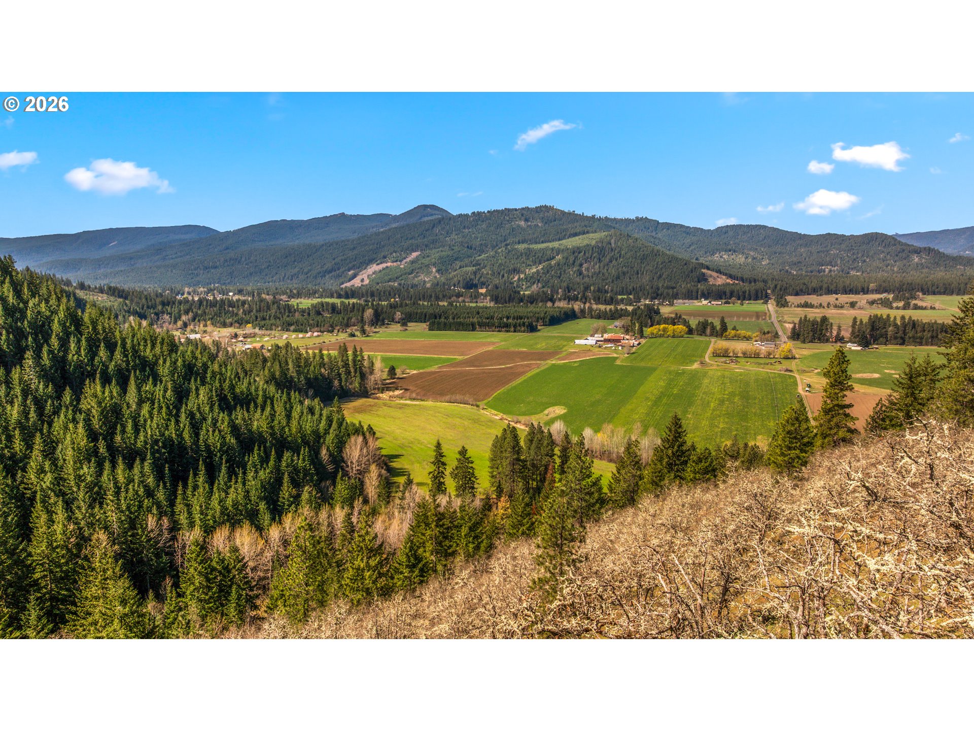 Aerial view of green farm fields and evergreen forest below a range of forested mountains.