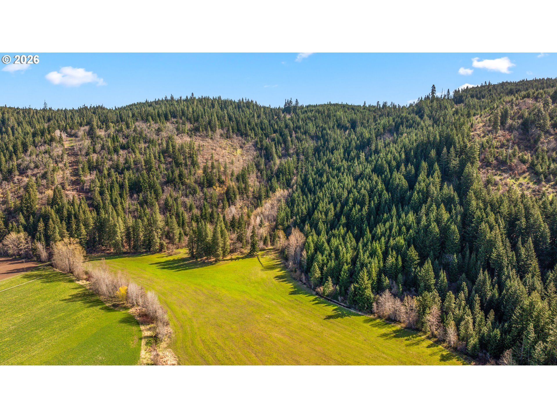 Aerial view of green fields meeting dense evergreen forest across rolling hills.