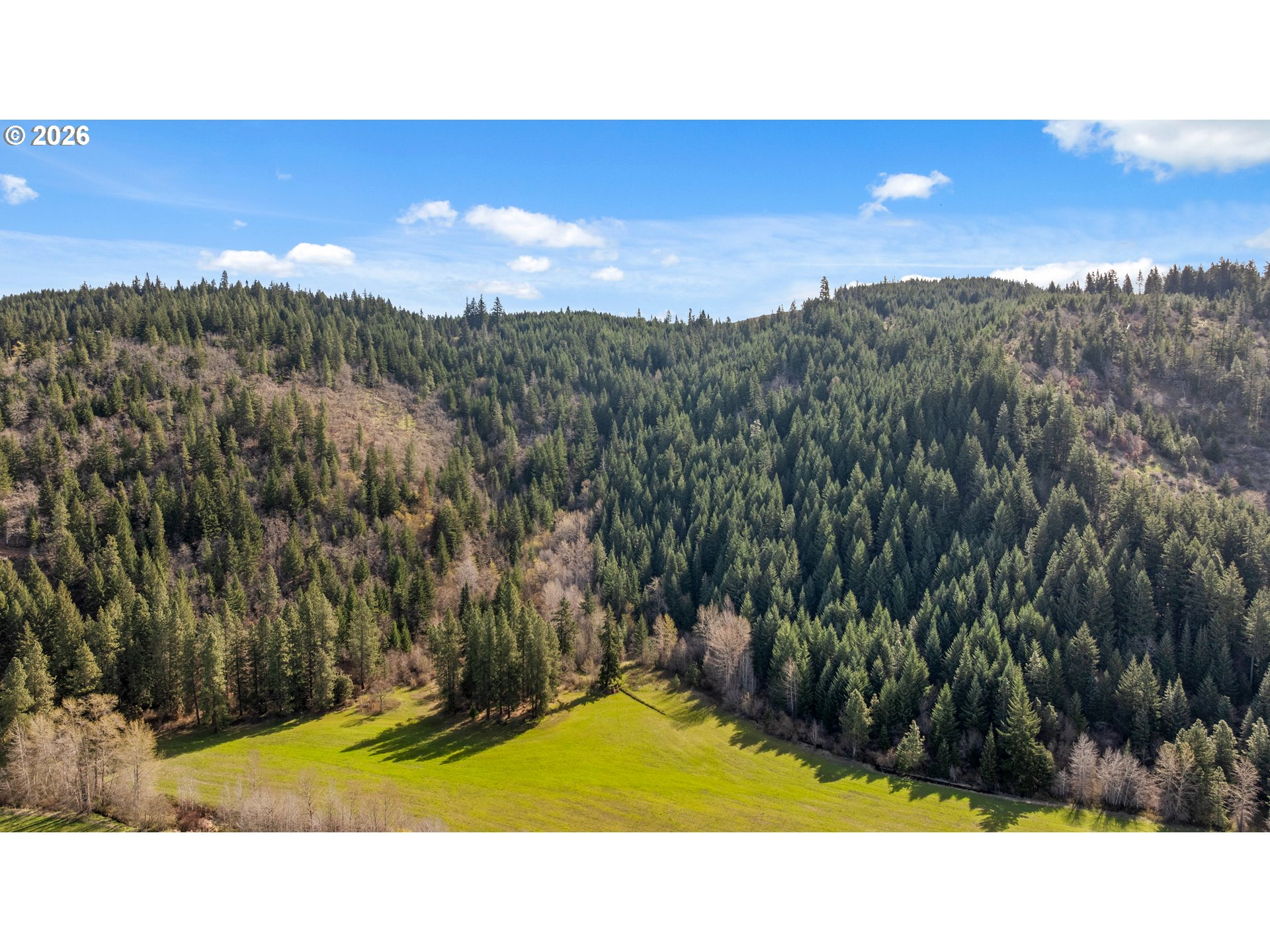 Aerial view of a green meadow surrounded by dense evergreen forest and rolling hills.