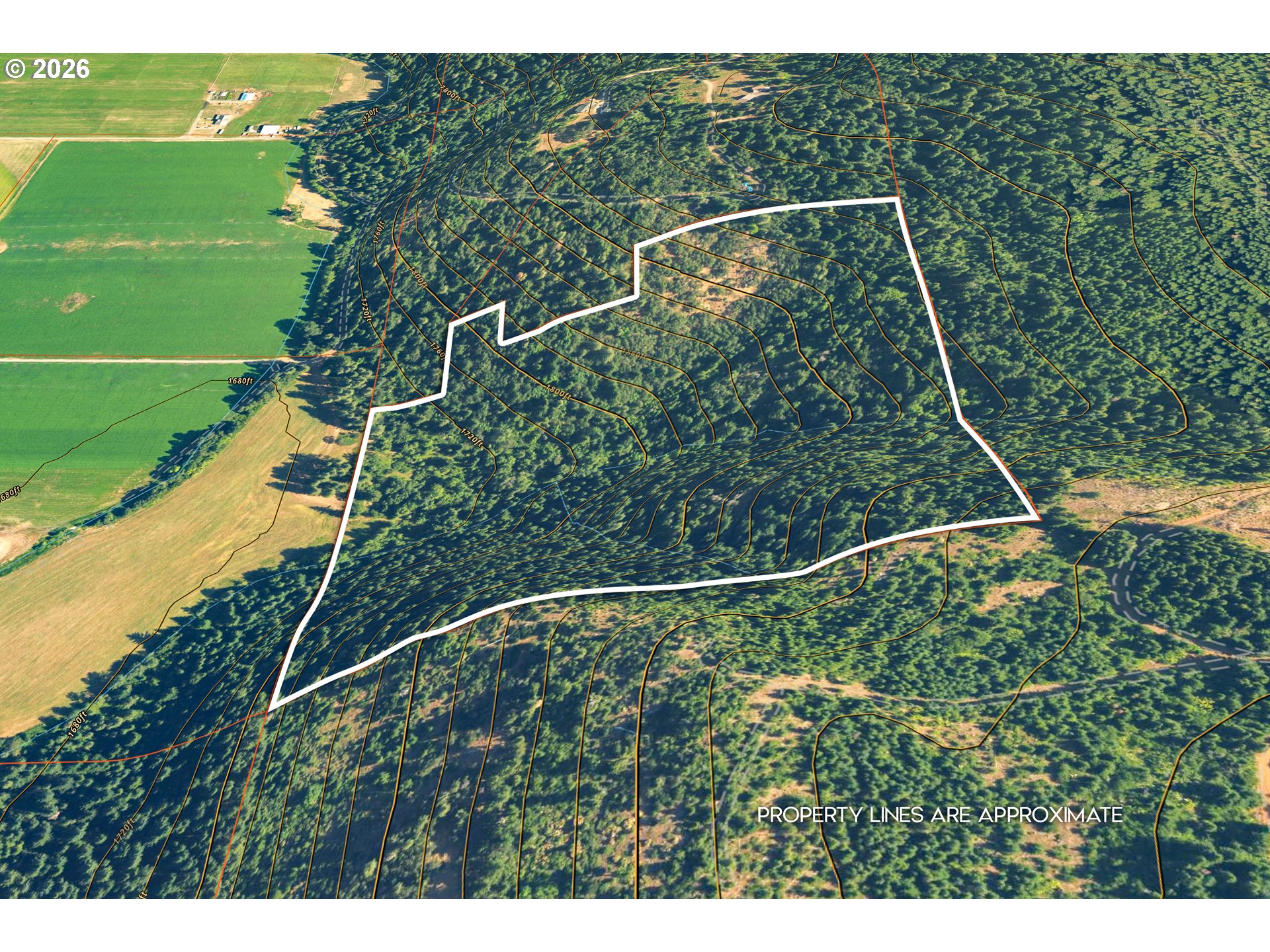 Aerial view of a forested hillside parcel outlined in white, with contour lines and neighboring fields.