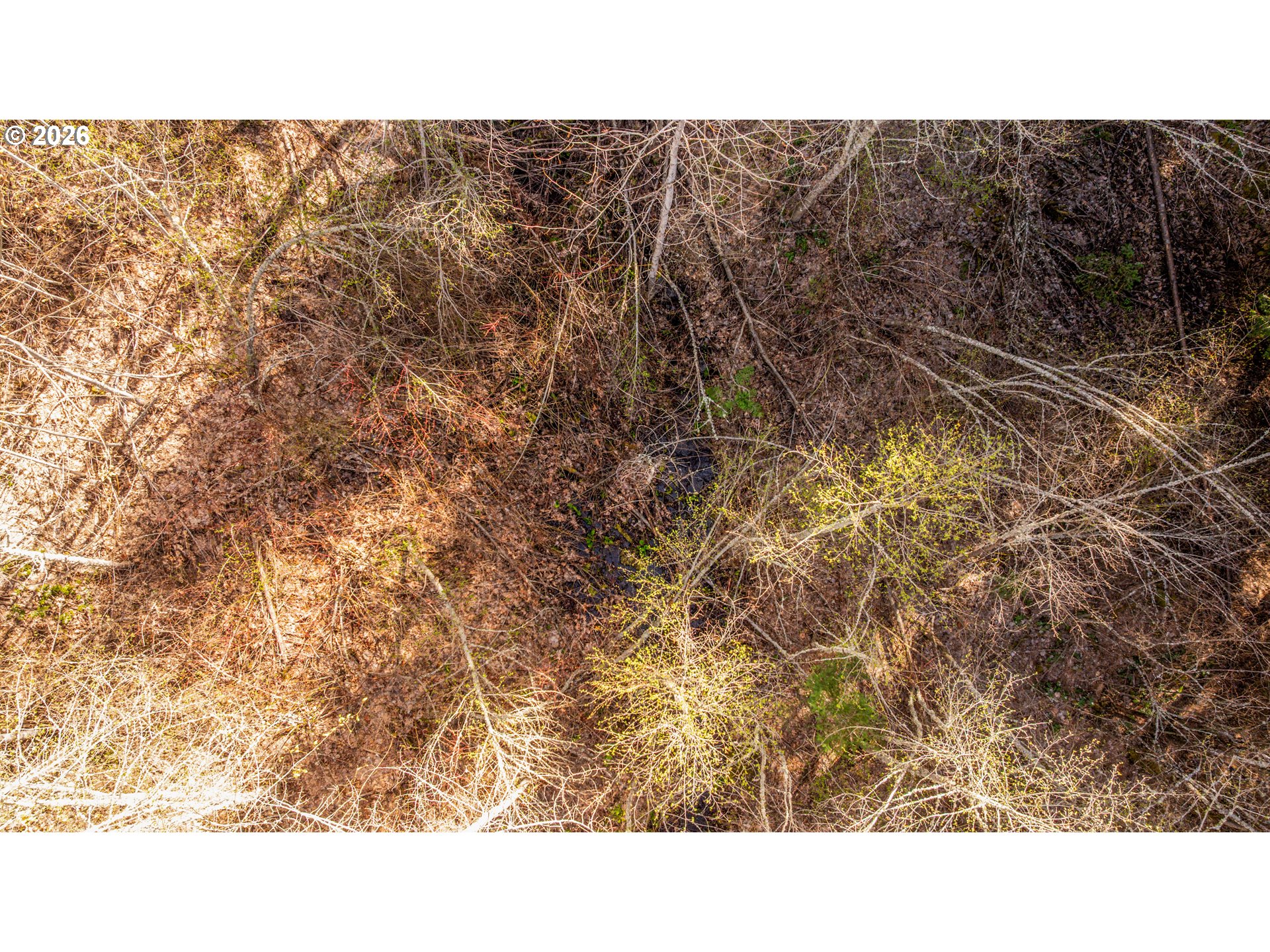 Aerial view of wooded land with budding trees and a narrow channel through the center.