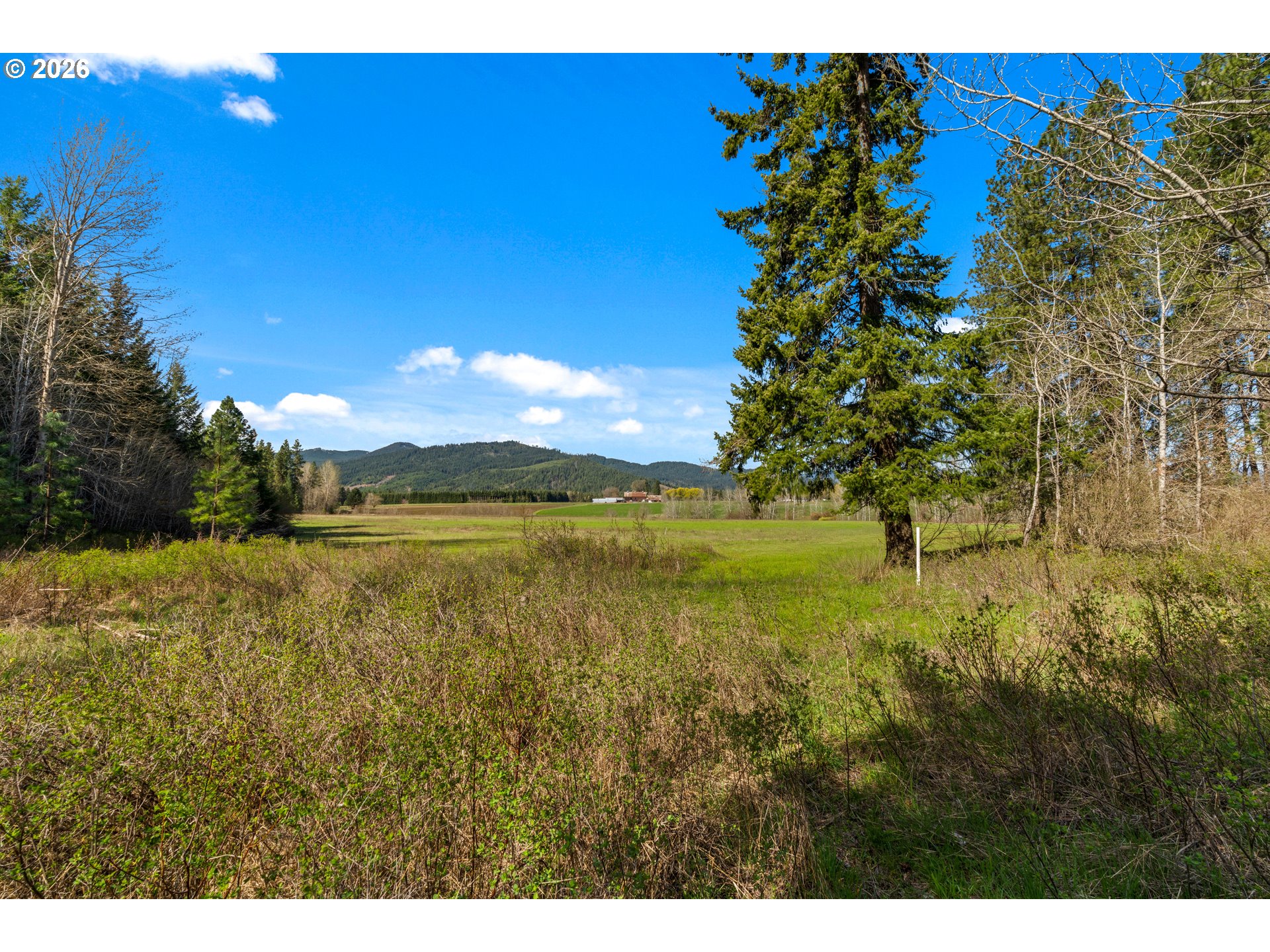 Open field framed by trees, with forested hills in the distance.