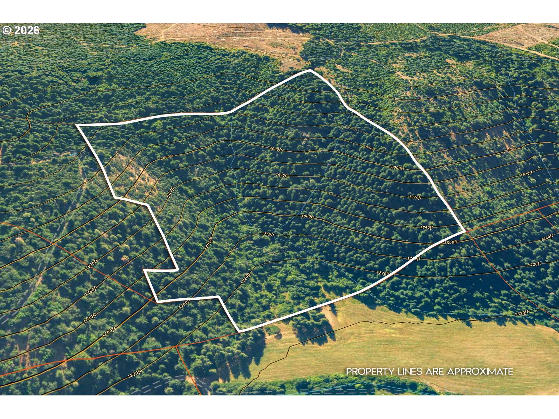 Aerial view of a wooded parcel outlined in white, with topographic contours beside an open field.